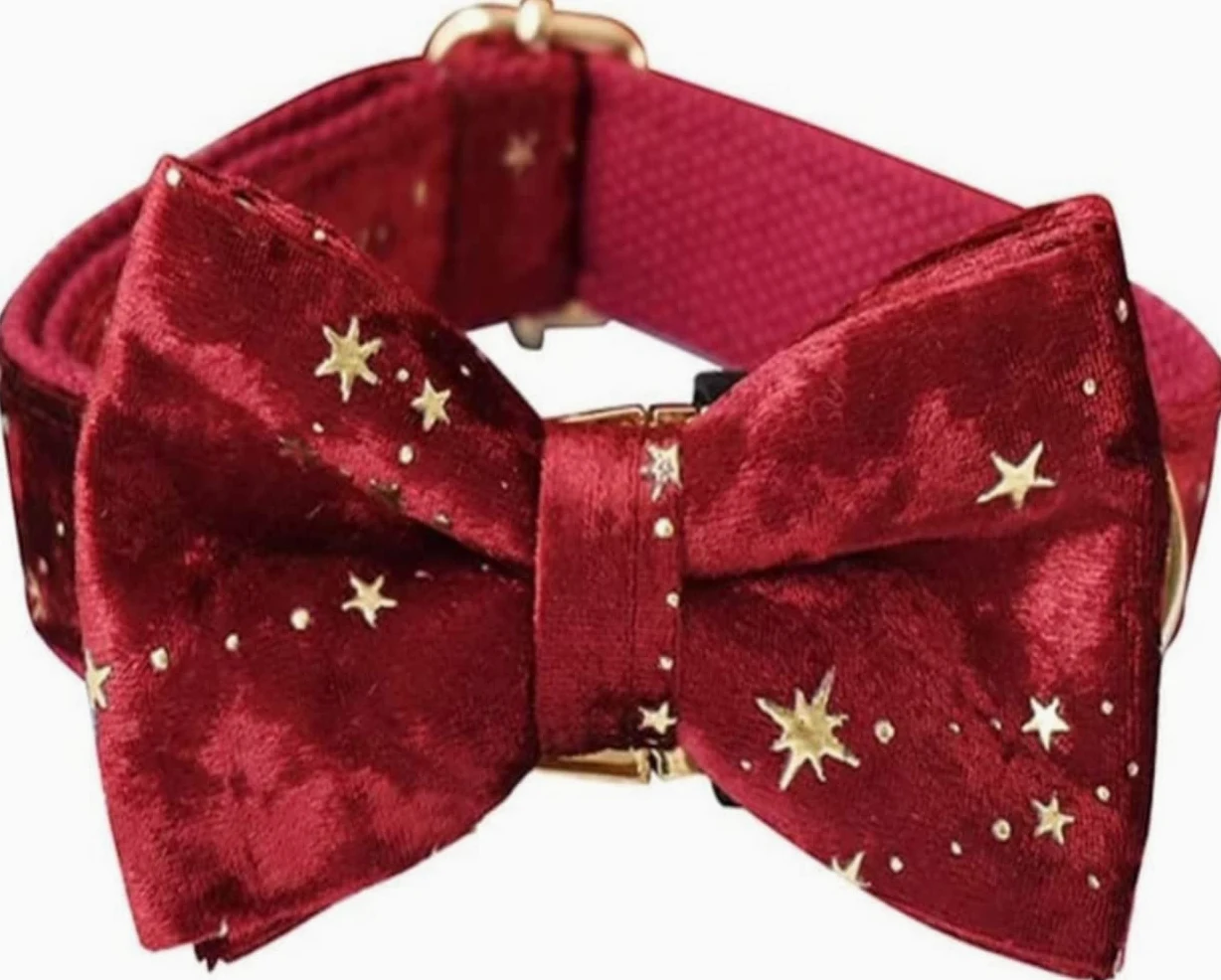Morbido Guinzaglio Per Cani Collare Per Cani Personalizzato E Guinzaglio Per Animali Domestici In Velluto Rosso Natalizio Con Stelle Dorate Antiscivolo Flexi(27-41cm)