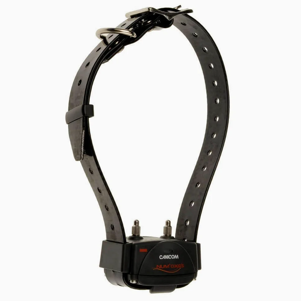 Num'axes Collare Dressage Canicom 200 First per Cane