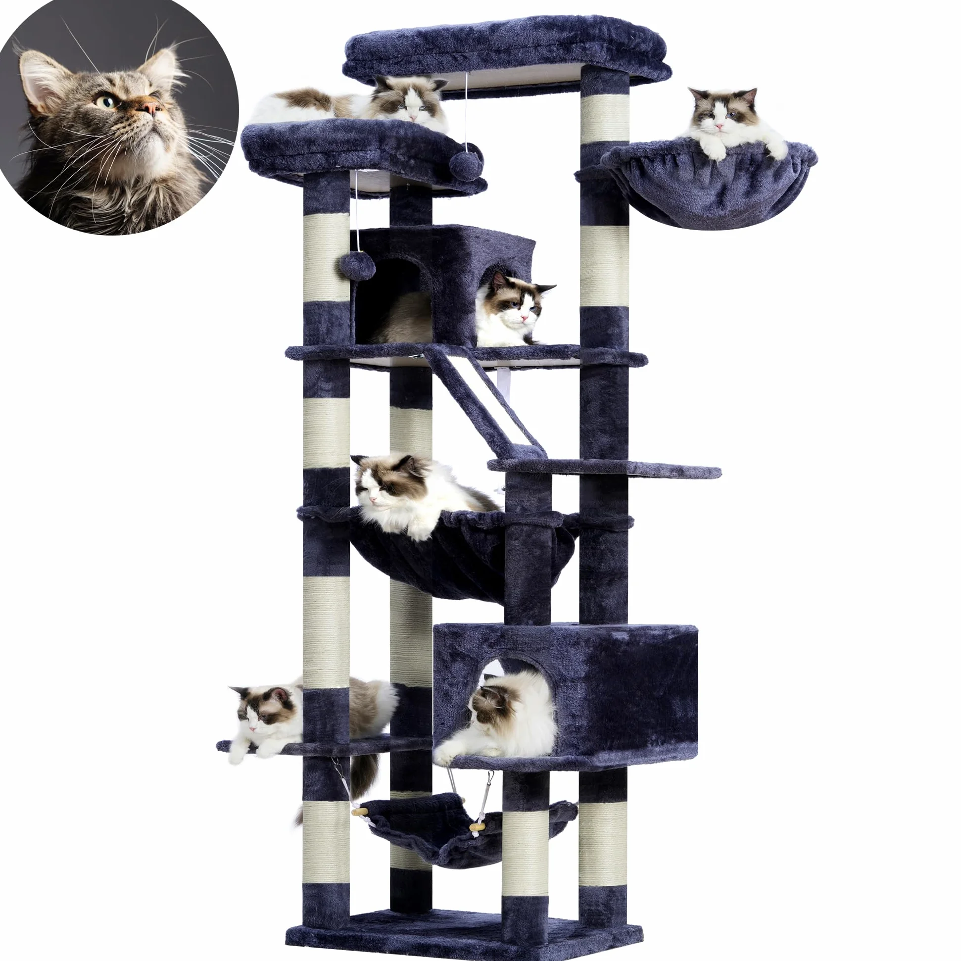 Heybly Albero Per Gatti, Torre 180 cm, 2 Piattaforme, 2 Capanne, 2 Amache, Pannello Per Sgualabocche. Grande Mobile Per Gatti Con Spazio Dormire, Grigio Fumo HCT034G
