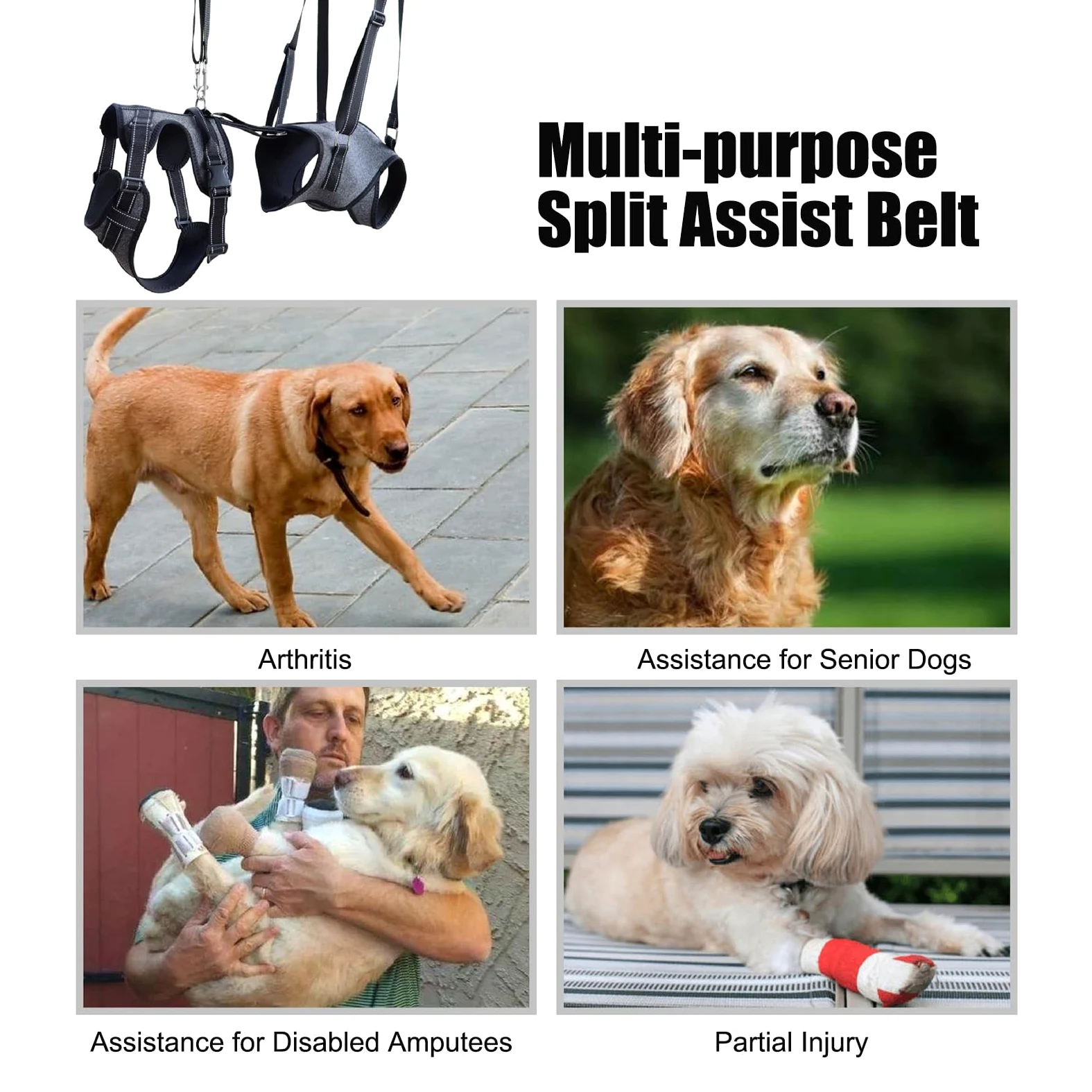 Imbracatura di sollevamento Gilet Regolabile Di Supporto Per Il Trasporto | Gilet assistenza mobilità cani con maniglia Riabilitazione Addestramento Uscite Veterinario Scale