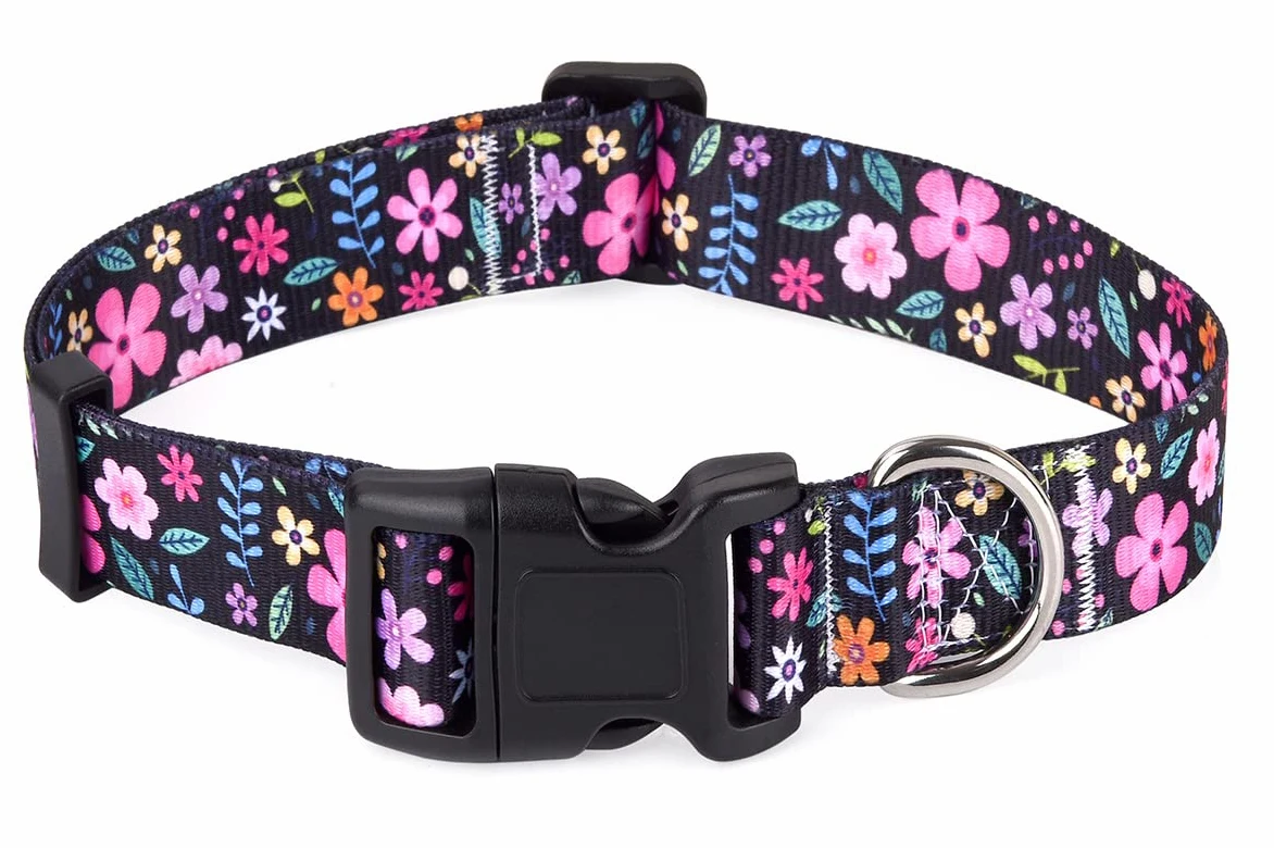 Collari per cani, morbidi e comodi collari imbottiti con fibbia in metallo, personalizzati con nome dell'animale domestico e numero di telefono (XS, floreale)