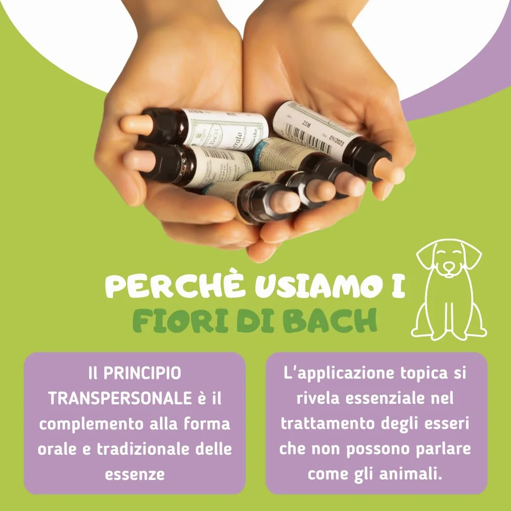 LISINA DERMO Gel - Pulizia delle Rughe e delle Pieghe cutanee del Cane - Utile in Caso di dermatite atopica e malassezia-Formula Naturale Human Grade con Oli Essenziali e Fiori di Bach