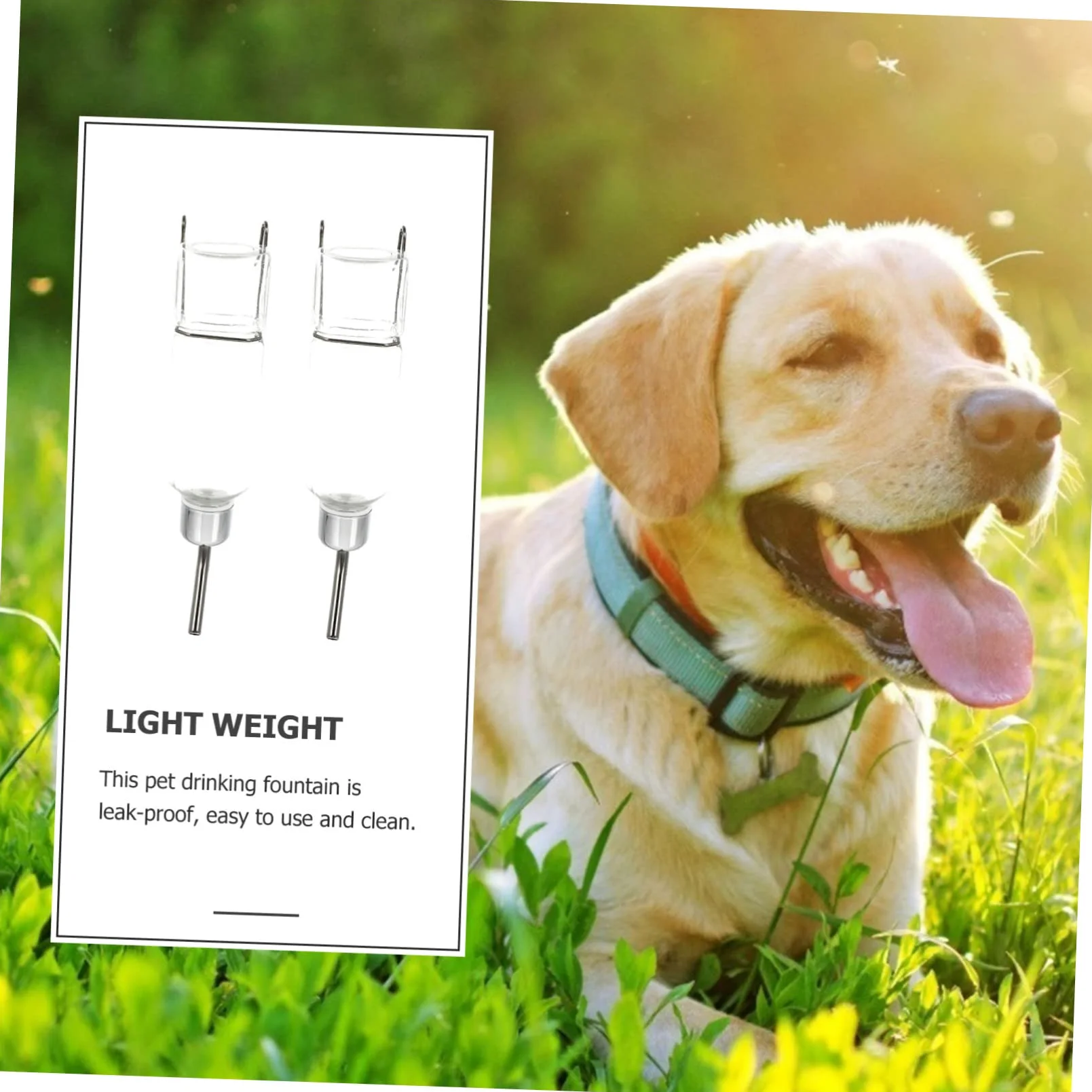FOMIYES 4 Pz Fontanella Borraccia per cani da parete distributore d'acqua per animali domestici borraccia stich borraccia per animali domestici dispositivo per bere acqua lotta francese