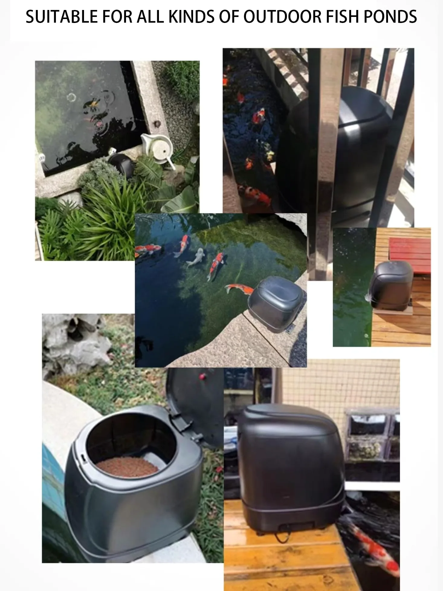 4.5L Pond Fish Feeder, Mangiatoia automatica laghetto, Distributore cibo per pesci per vacanze e clima caldo o freddo -alimentato a batteria