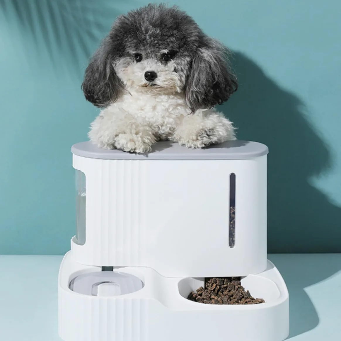 Distributore Automatico Cibo e Acqua Staccabile per Animali Domestici, Alimentazione e Abbeveraggio a Gravità Abs e Pet, 3l + 0,85l Colore Casuale per Cani e Pet