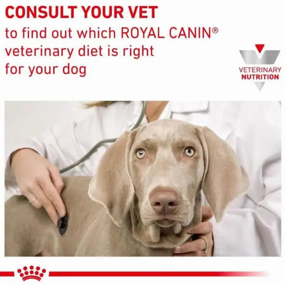 Gastrointestinal Low Fat Small Dog Hondenvoer