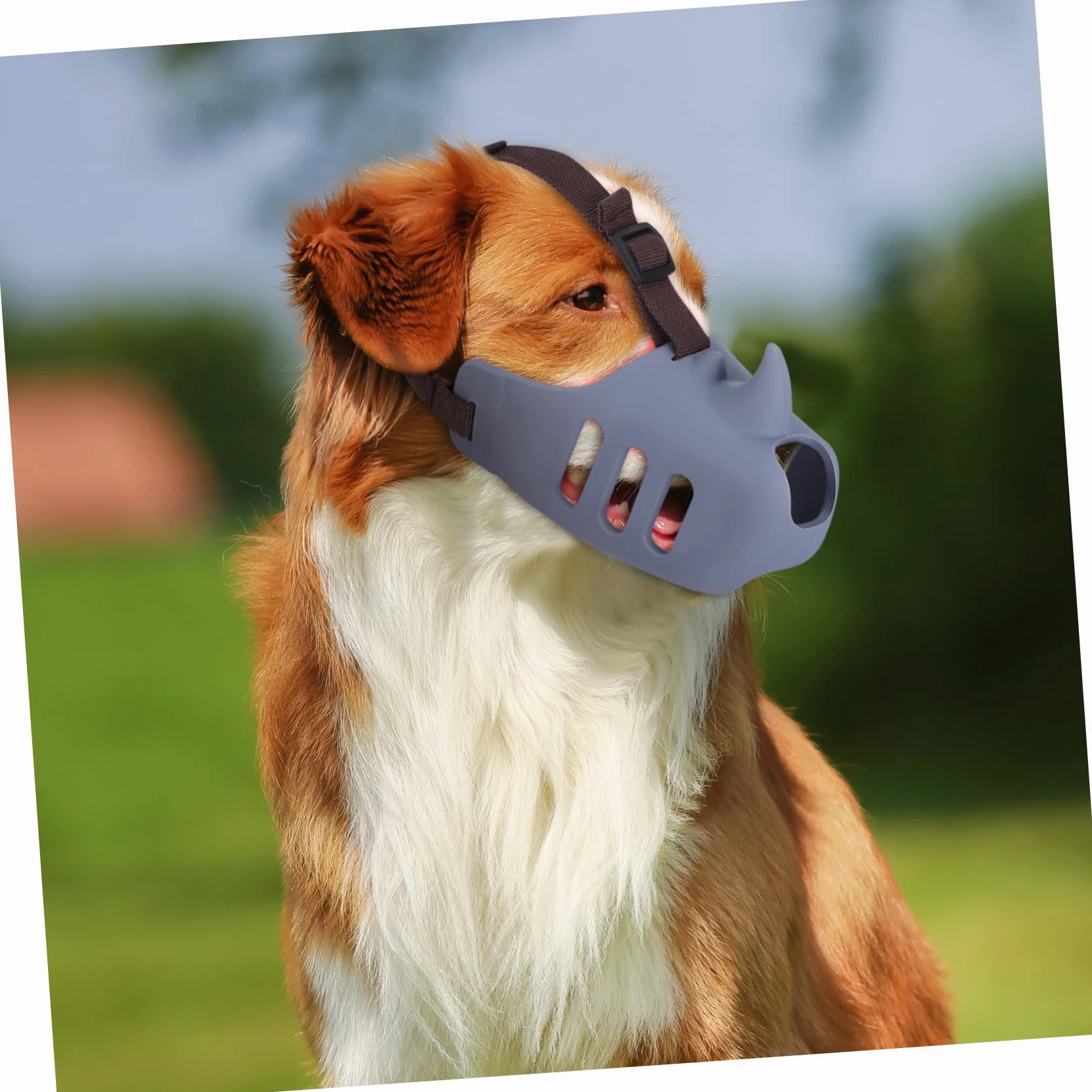 ibasenice Museruola per Cani in Silicone Morbido 3 Pezzi Antiabbaio Regolabile per Cani Medi e Grandi Comoda e Resistente per Prevenire Morsi e Masticazione