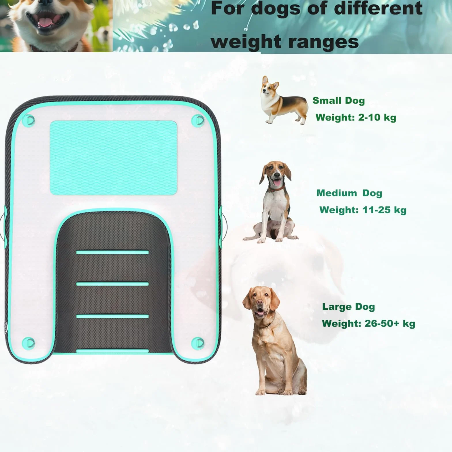 HEYLIFE Rampa Gonfiabile Per Cani cancelletti e Rampe Inflatable Dog Water Pool Ramp Per Piscina Fino a 100 kg Green 120x90x10cm