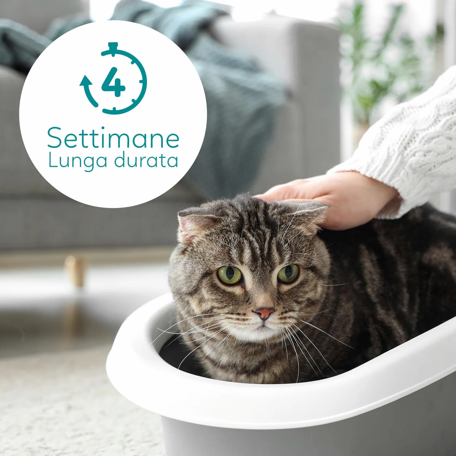 Lettiera per gatti al silicio Aqpet Friends Catty 6x5L (30L) – cristalli di gel di silice profumo talco – ultra assorbente, antibatterica, anti odore e senza polvere