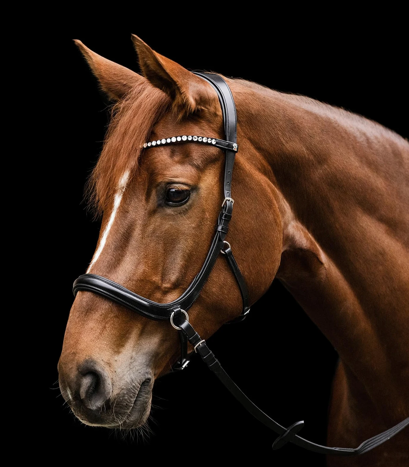 WALDHAUSEN Briglia X-Line Sensation, WB, nero