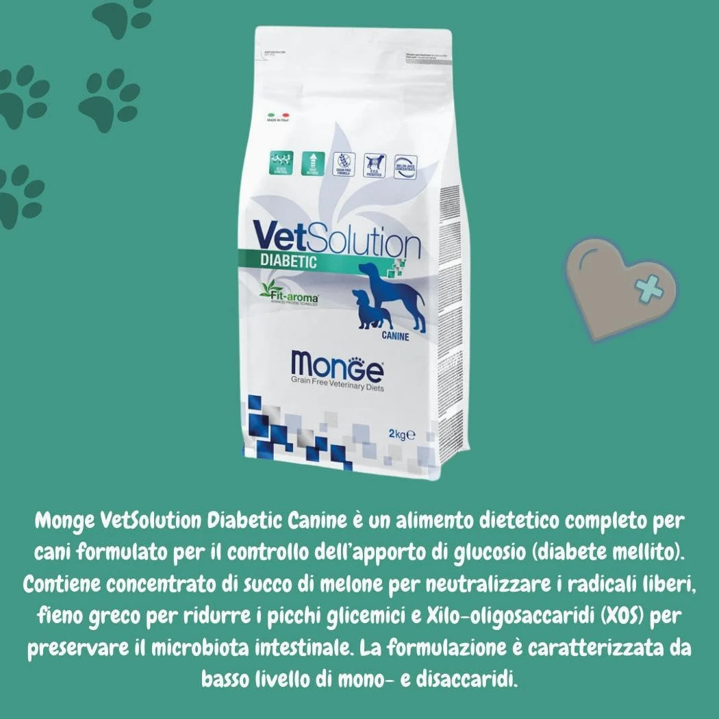 Monge Vetsolution Diabetic Cane All Breeds 2kg, alimento completo per cani di tutte le taglie con diabete,2kg.