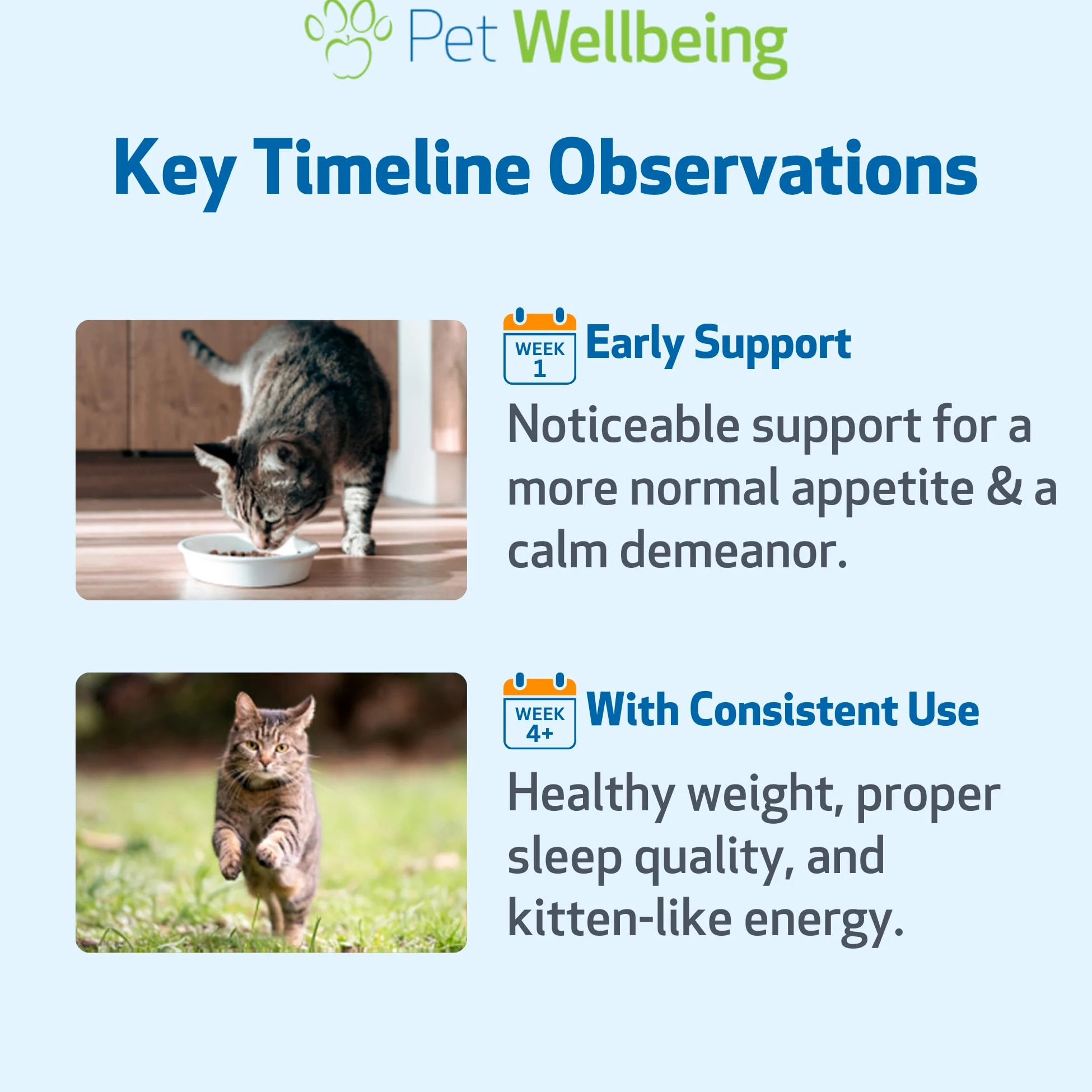 Pet Wellbeing Supporto Oro Della Tiroide Per I Gatti - Naturale Supporto Della Ghiandola Tiroidea Felina E Temperamento Calmo Normale - 2 Oz (59Ml)
