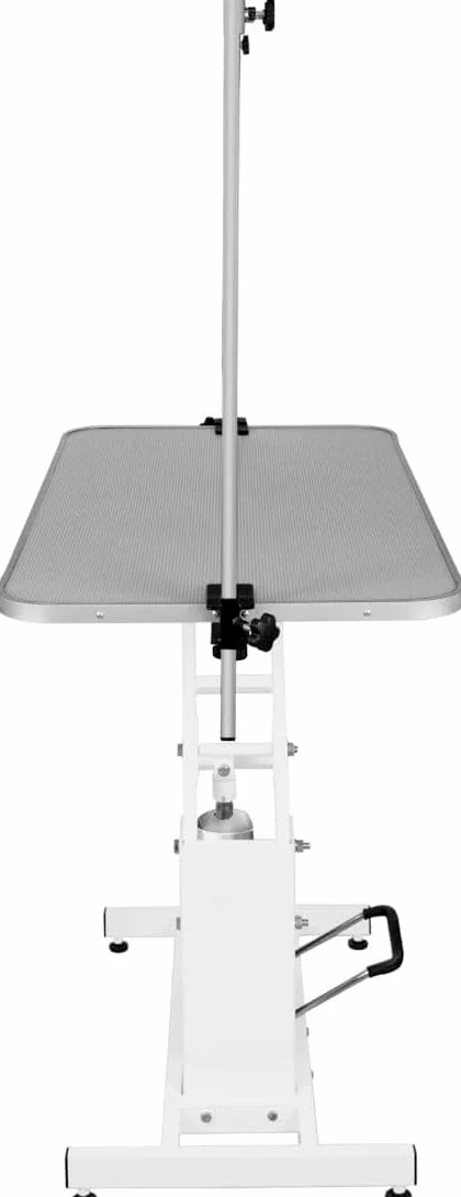 Tavolo Idraulico Toelettatura Cani - Altezza 55-101 cm, Capacità 180 kg, Bianco - Piano Grigio, Antiscivolo 106x61 cm, Acciaio Bianco, Piedini Livellanti, 3 Guinzagli