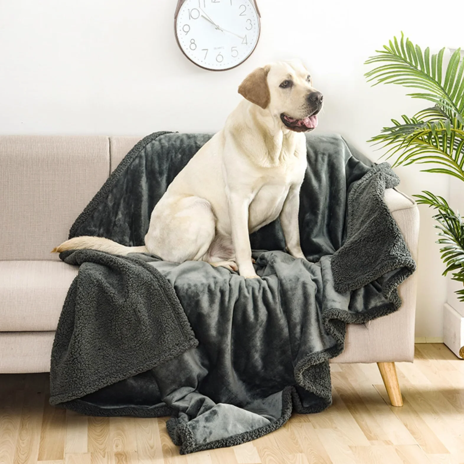 The Waterproof Blanket, Love Blankets for Couples Waterproof, Double-Sided Fluffy Soft Cozy Waterproof Blanket, Fleece Blanket for Furniture Protector, Pet Blanket for Dog Cat