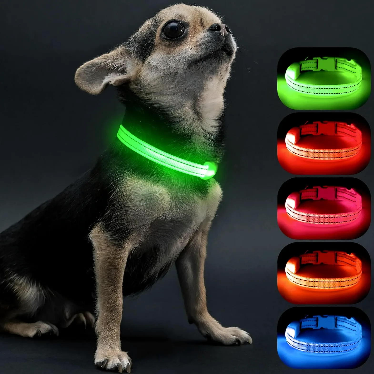 Visinite Collare luminoso per cani di piccole dimensioni, collare LED ricaricabile, completamente regolabile, collare luminoso al buio con luci per cani per passeggiare di notte, verde