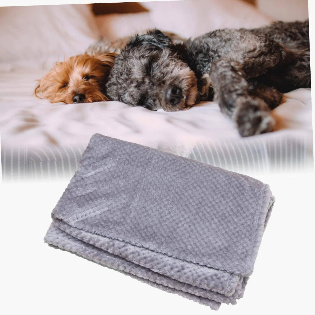 FOMIYES Coperta per Animali Pieghevole 1 Pezzo in Coral Velvet | Lavabile in Lavatrice, Adatta a Picnic e Divano, Copertura Letto per Cani e Gatti
