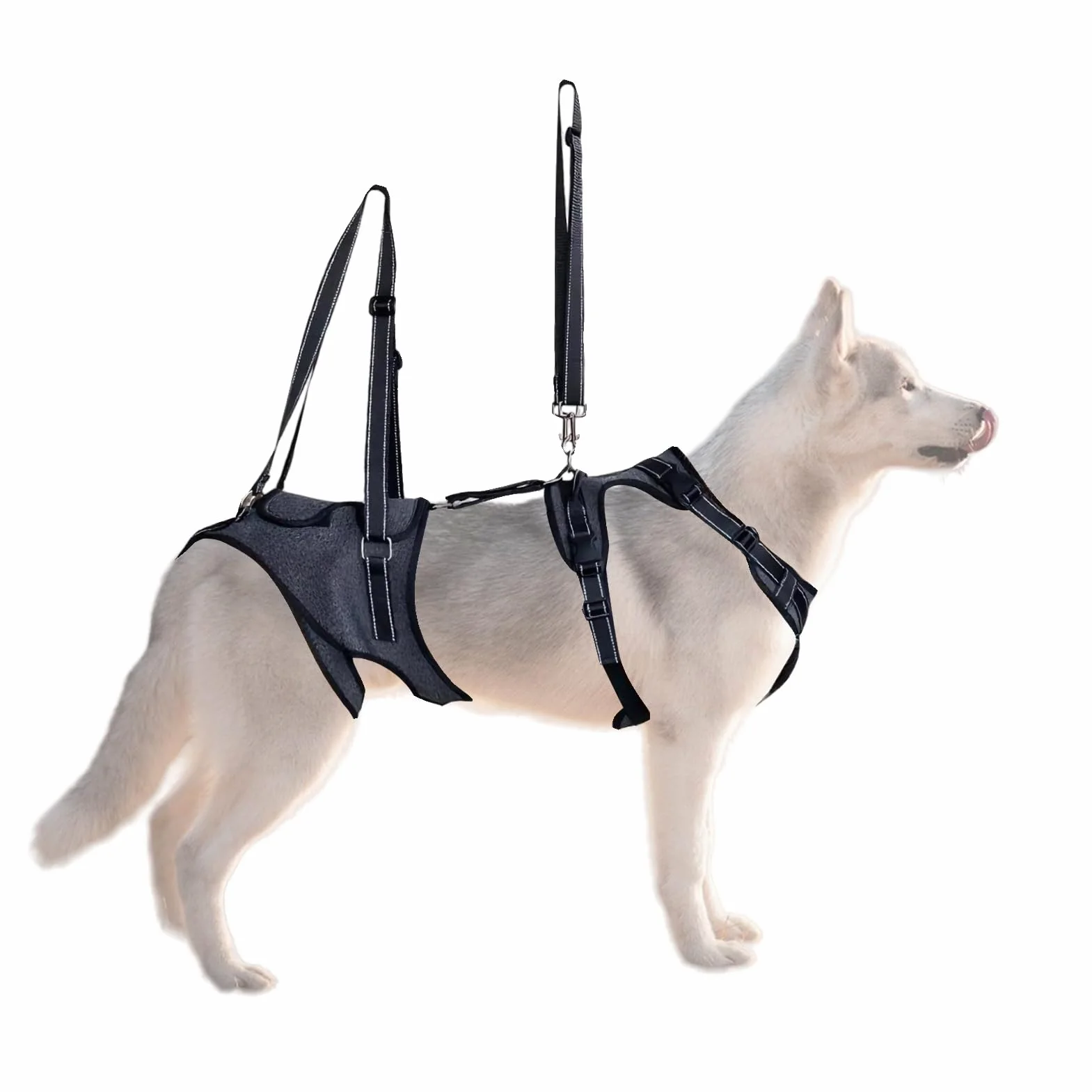 Imbracatura di Sollevamento per Cani Cinghie A Imbracatura Regolabili | Gilet assistenza mobilità cani con maniglia Cinghie per Recupero Addestramento Riabilitazione Cani Anziani Disabili Feriti