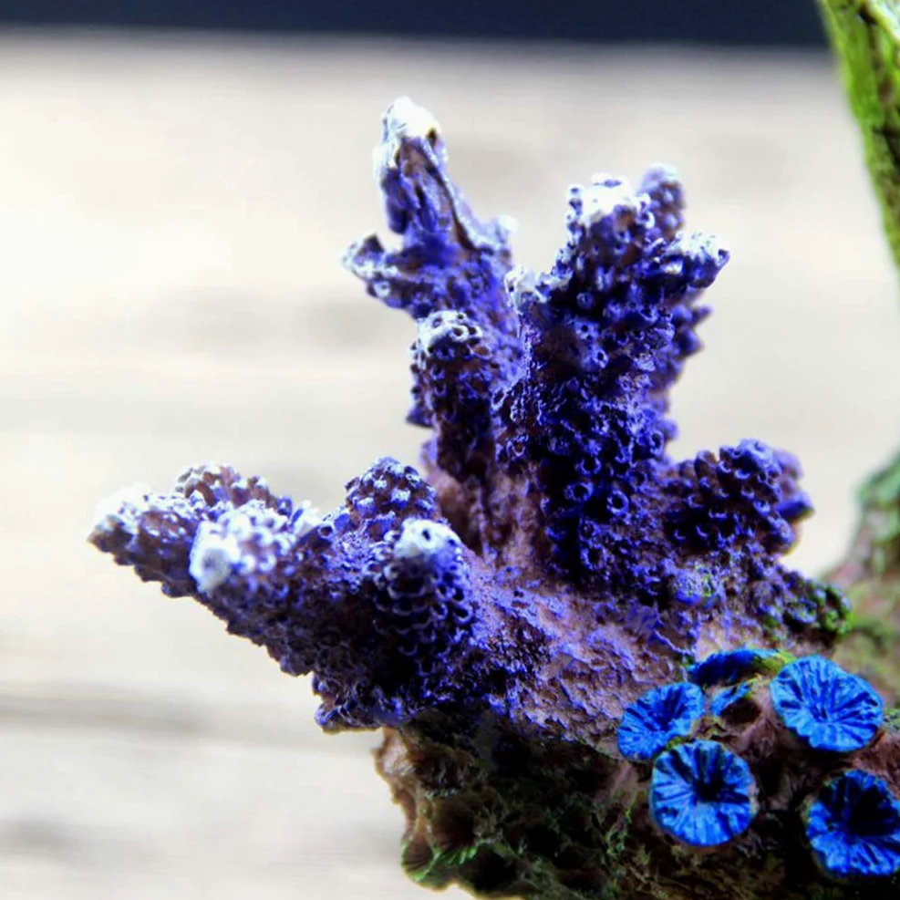 balacoo Decorazione per Acquario: Simulazione Corallo - Sfondo per Acquario - Imitazione Pietra, Resina, Giardino Roccioso Scultura per Acquari
