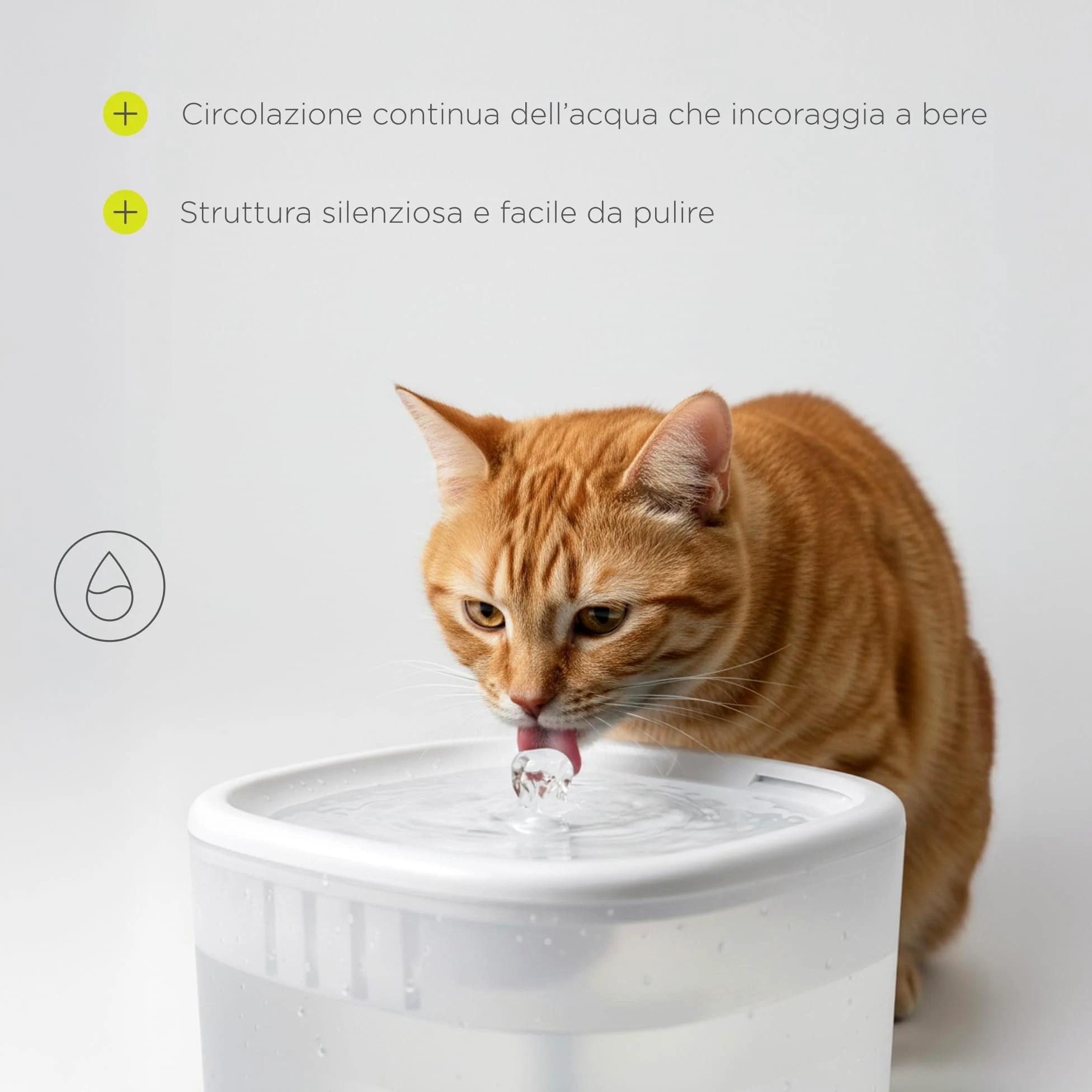 FEAST Distributore Automatico Cibo Gatti con WiFi e Videocamera, Dispenser Crocchette Gatto 4,5 L con Ciotola, Porzioni Programmate, Fontana 2,5 L, Distributore Automatico Cibo Cani (Bianco)