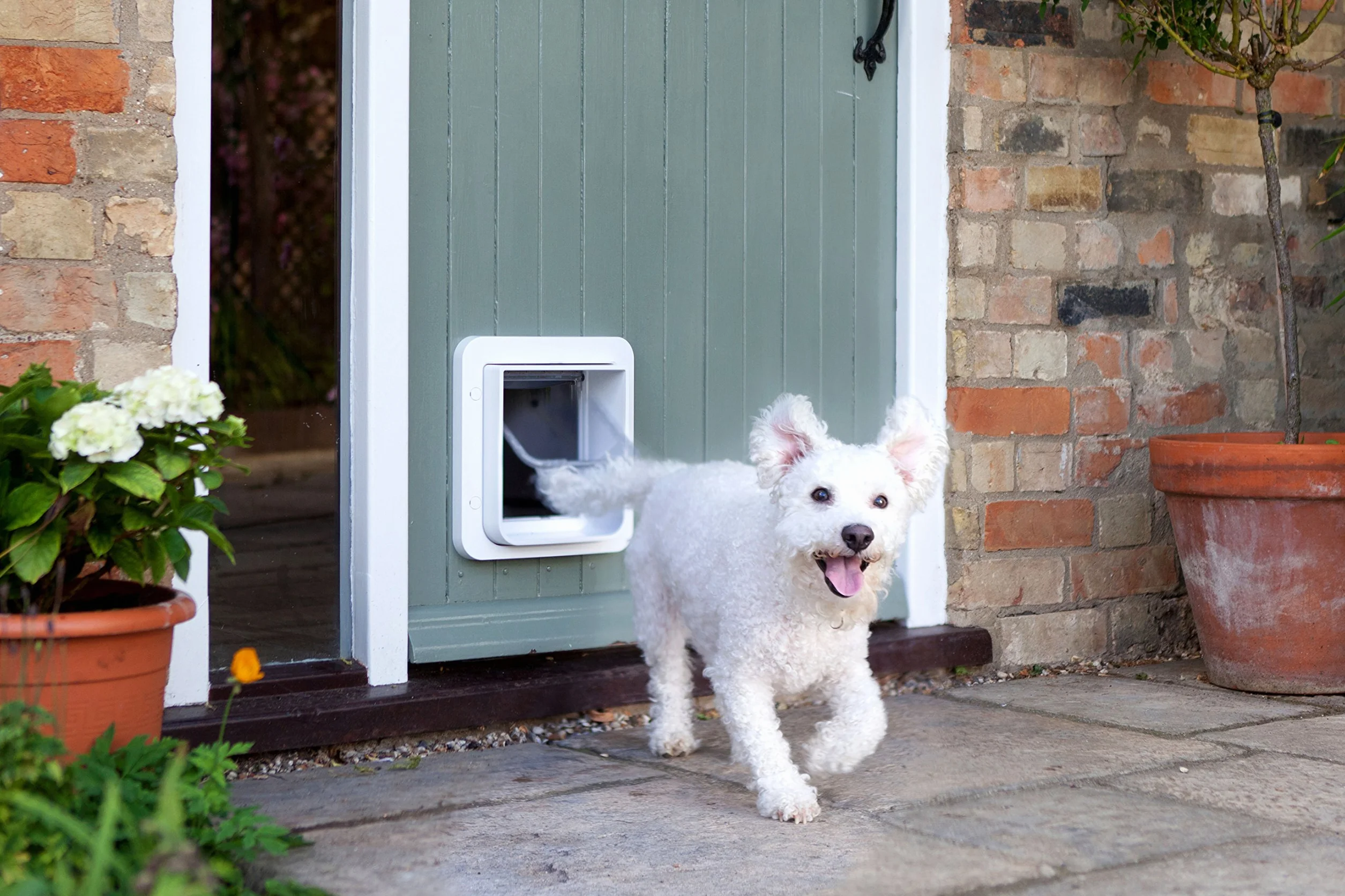 Porta per animali con lettore di microchip SureFlap Sure Petcare per gatti e piccoli cani; compat. Targhetta per collare RFID e microchip, Bianco; 4 batterie a cella C (non incl.)