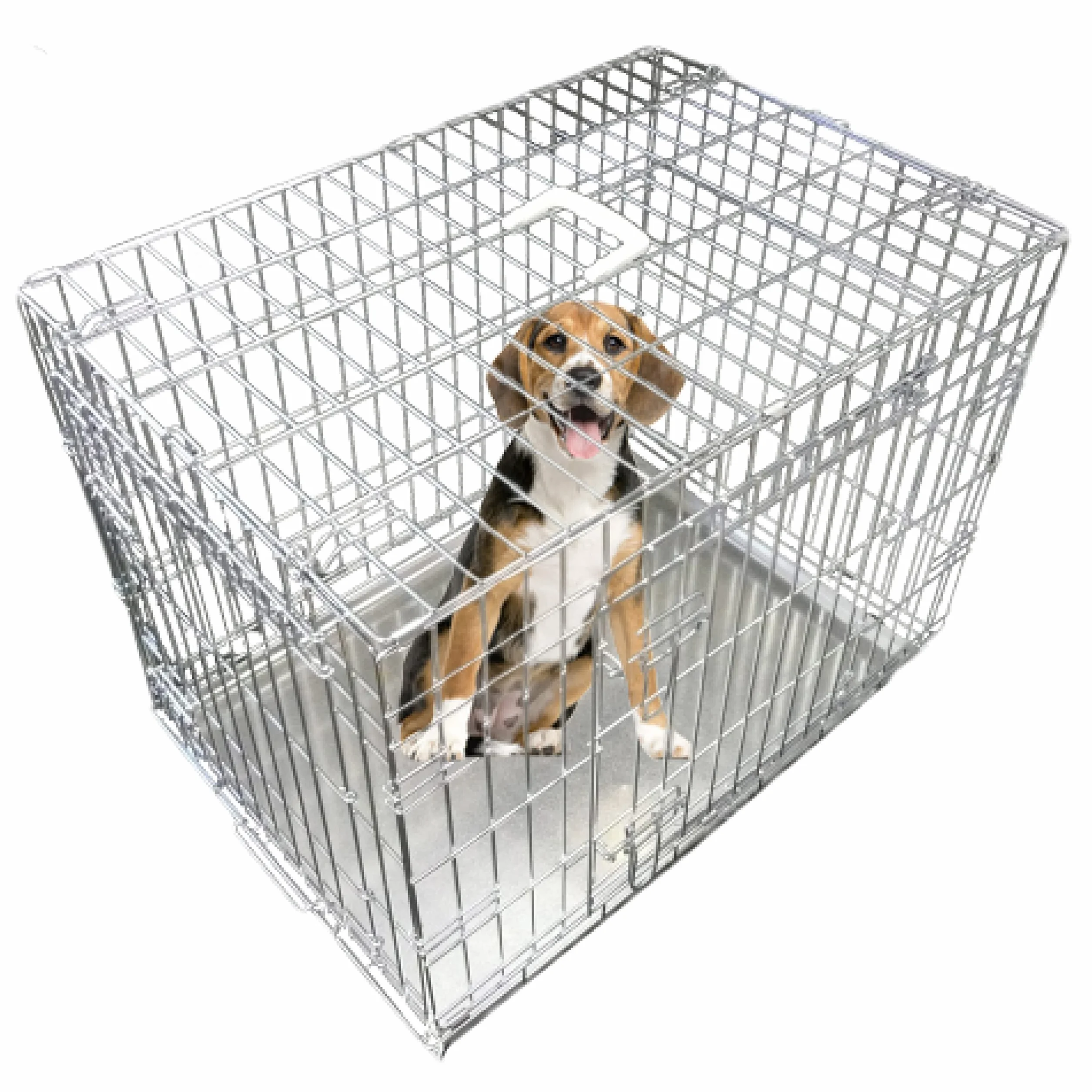 Ellie-Bo, Gabbia Pieghevole a 2 Porte con Vassoio in Metallo Non masticabile, Argento, Medio, 70 cm