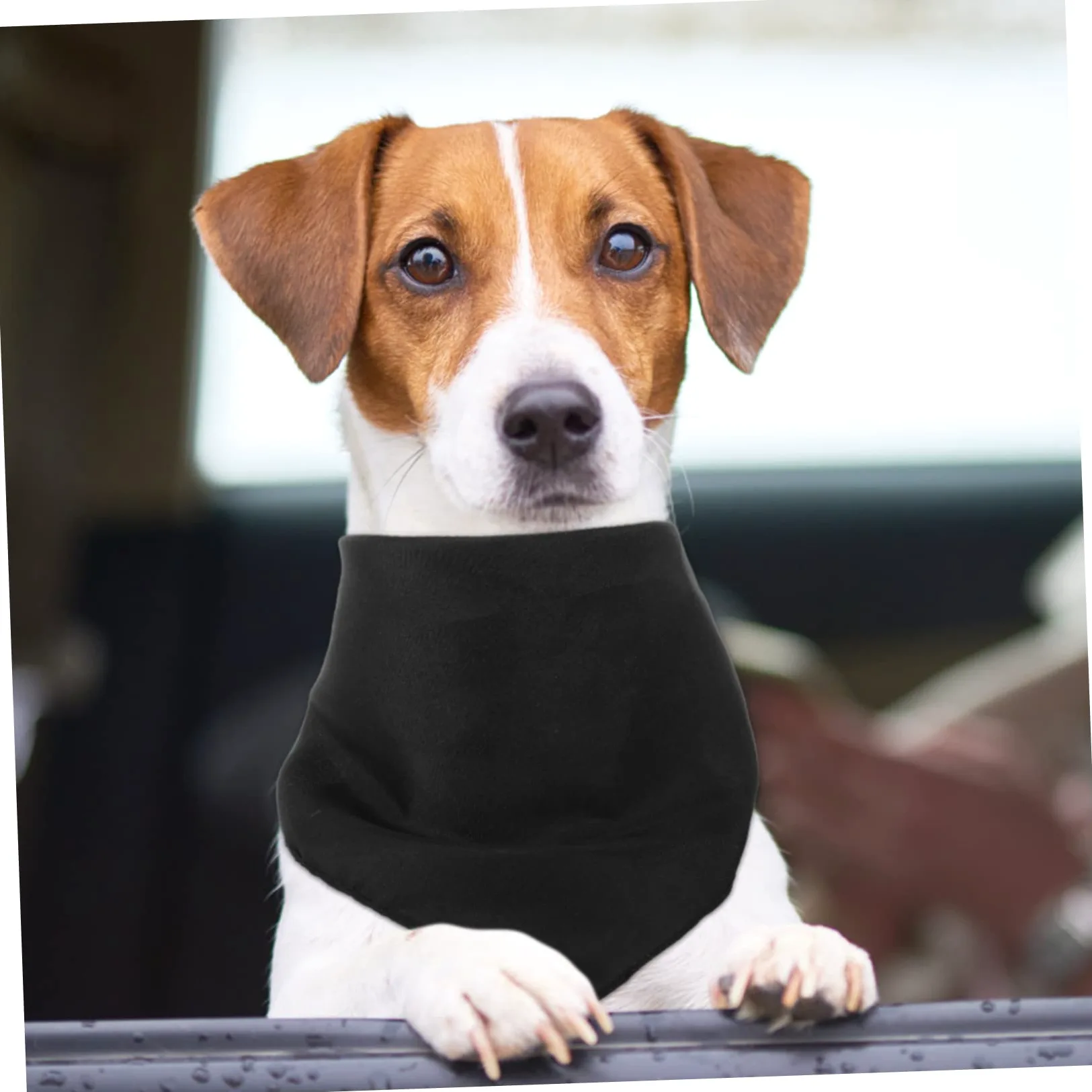 Didiseaon 20pezzi Bandana per Cani Lavabile Sciarpe Triangolari Regolabili per attività all Aperto Accessorio Comfort per Animali Domestici