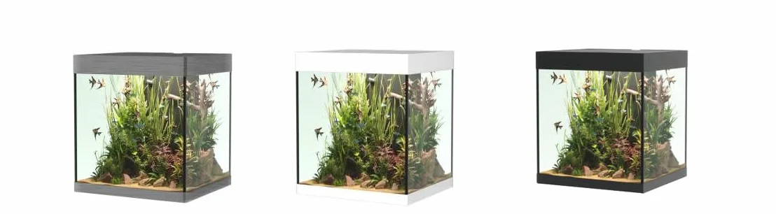 OPERA AQUARIUM 80 WHITE