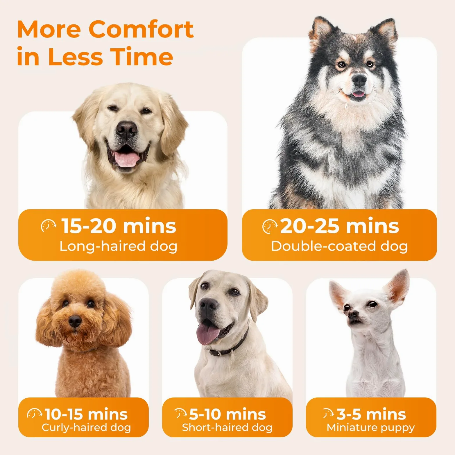 pecute Asciugatore per Cani Blower Molto Silenzioso, Soffiatore per Cani a Velocità Regolabile - con Modalità Caldo/Freddo, Phon Cane con 4 Diversi ugelli, Tubo Elastico e Spazzola la Cura