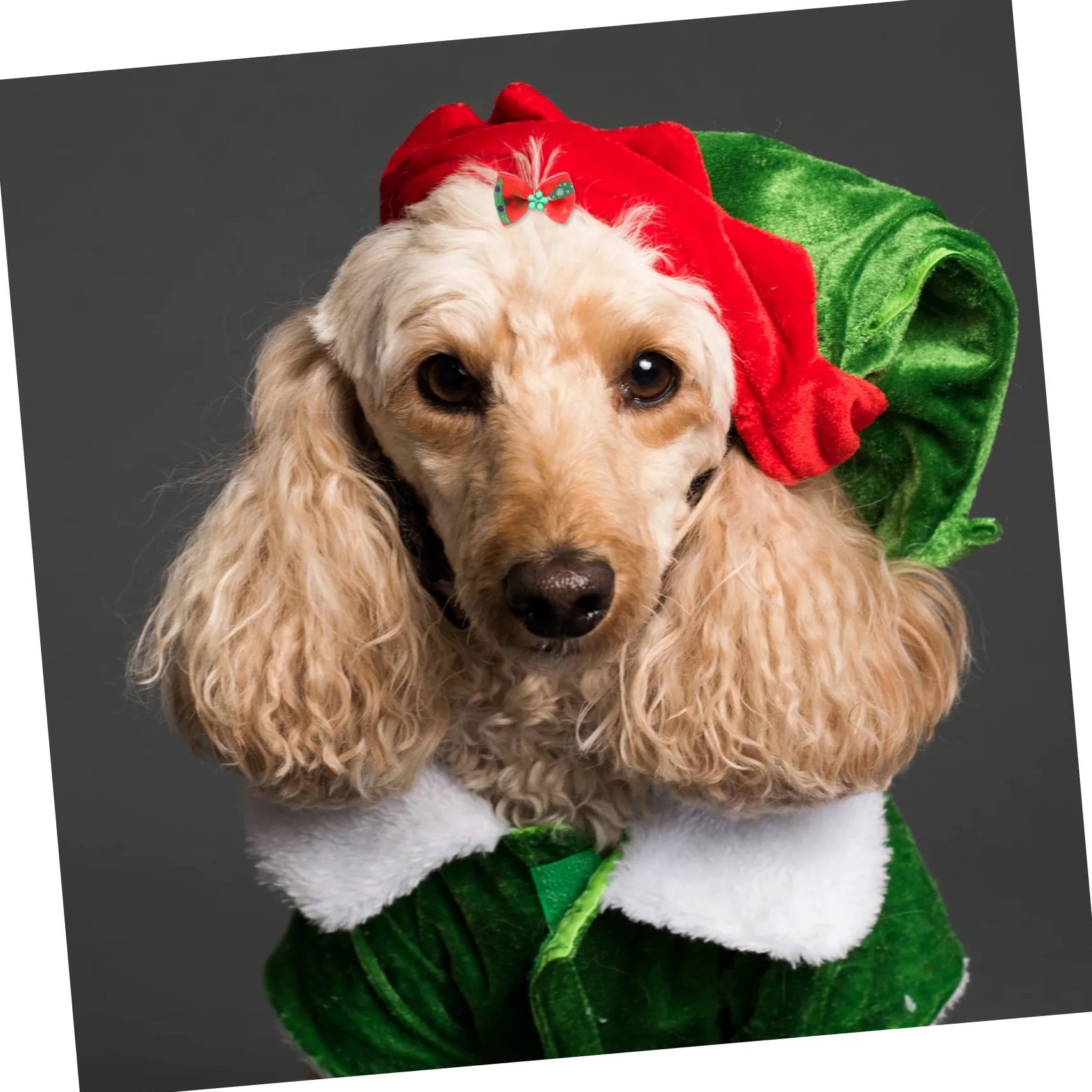 Angoily Fiocchetti per Cani Fiocchetti per Cani Halloween 300 Pezzi di di Animali Domestici Cravatta dei del Cane Mollette per Perno di della Bambola Fiocchi di di Cane Accessorio dei per
