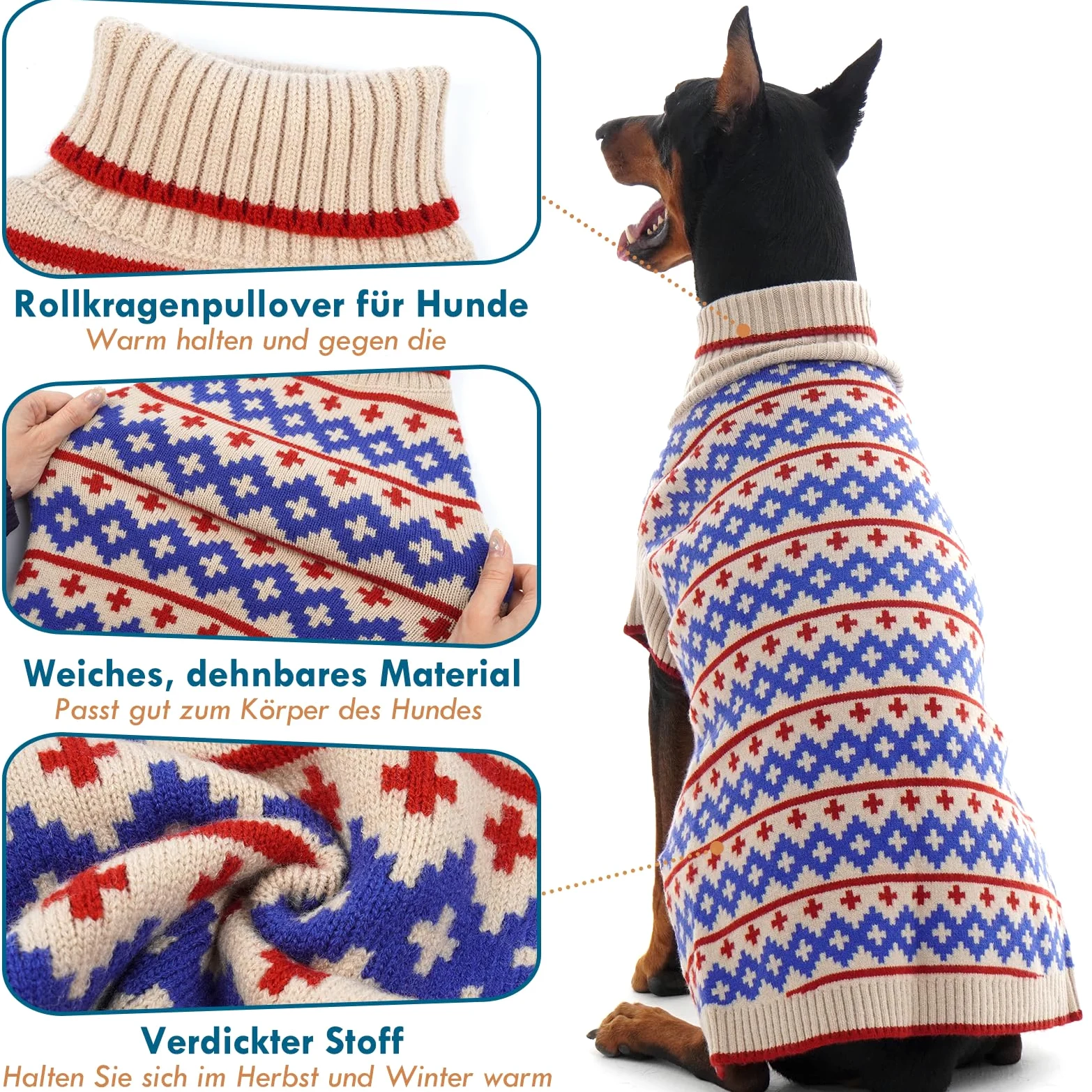 Cani Maglione Albicocca