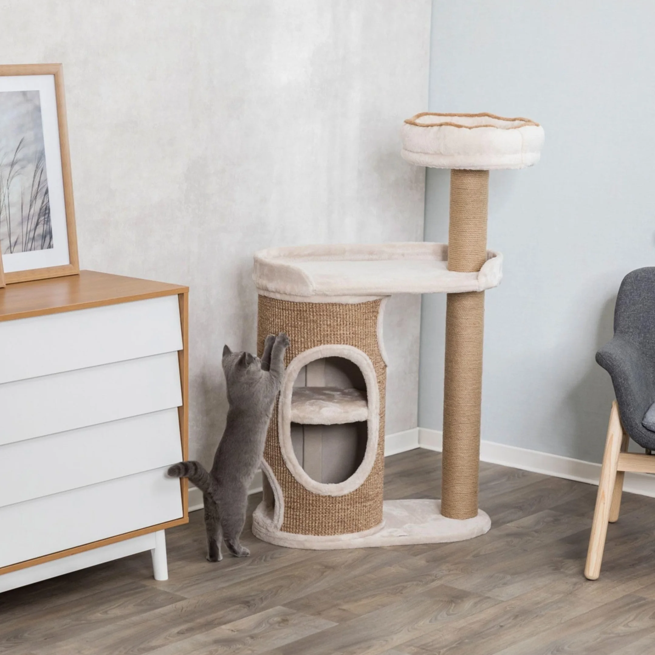 Trixie Albero tiragraffi Falco, di Medie Dimensioni, 117 cm, Grigio Chiaro/Marrone, 44416