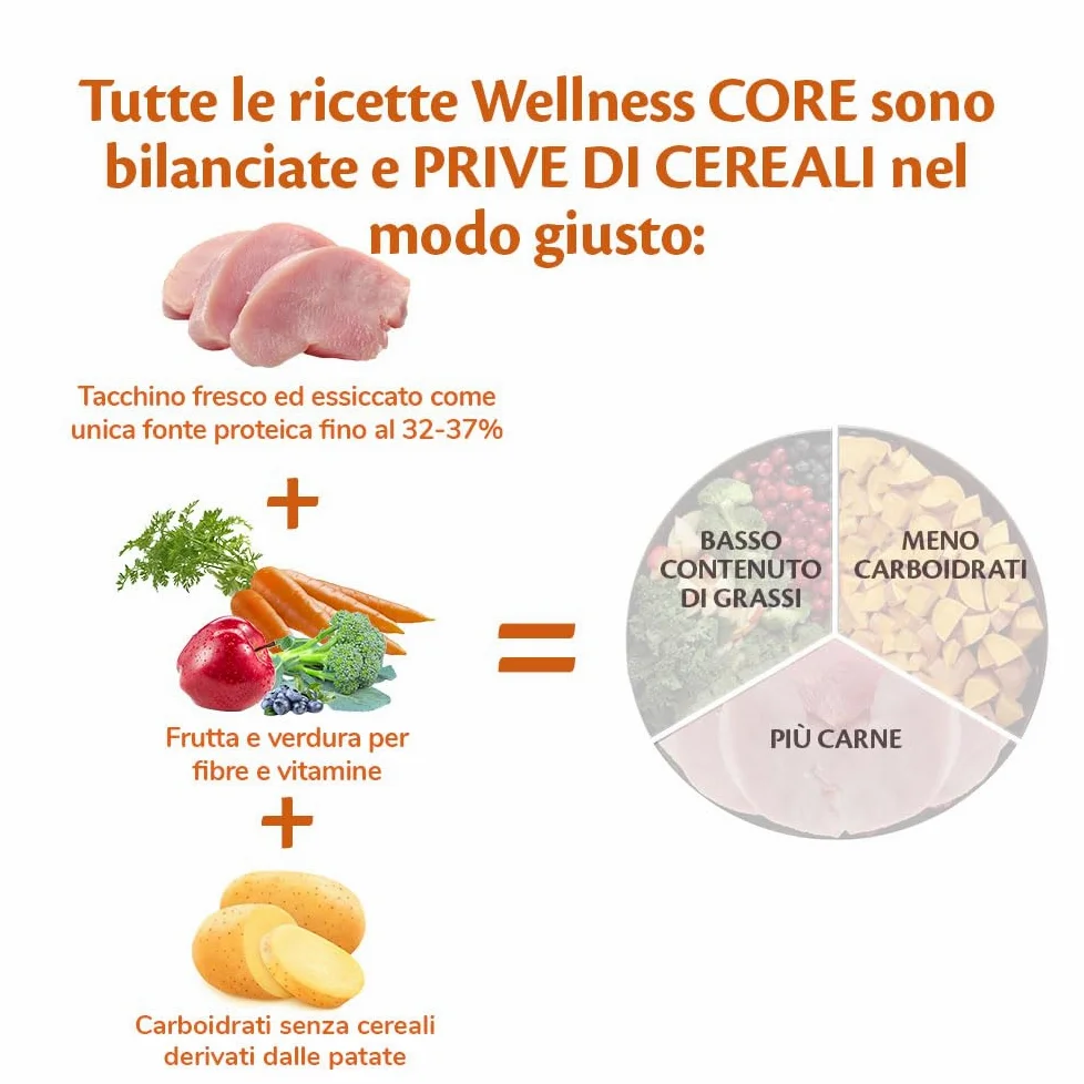 Wellness CORE Low Fat 10 kg, Tacchino – Crocchette Per Cani | Cibo Secco Per Cani Medi & Grandi, Senza cereali, Naturale, Ipoallergenico, Ricco di Proteine e Carne, Per un Peso Ideale