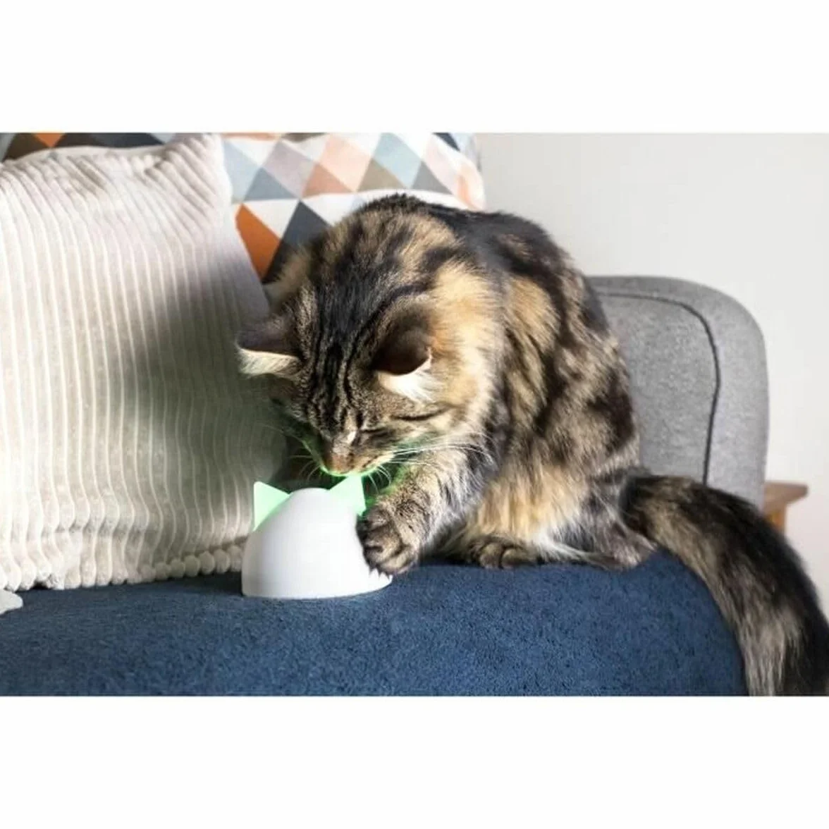 Hub Sure Petcare compatibile con: Porta per animali Connect SureFlap, Gattaiola Connect SureFlap, Ciotola intelligente Connect SureFeed, Felaqua Connect, App mobile, iOS, Android, Bianco