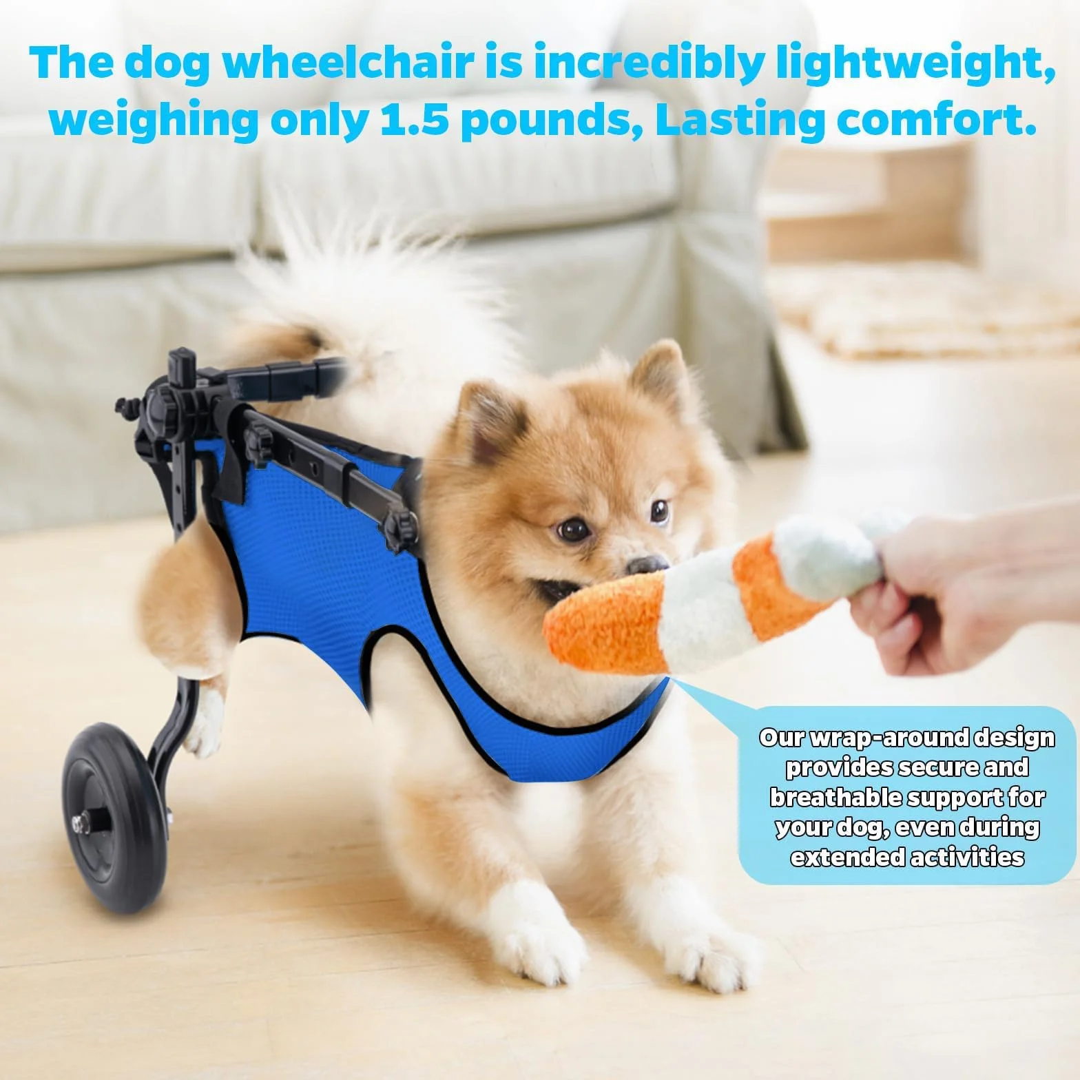 Carrello Cani Disabili Sedia a Rotelle per Cani con Supporto Completo A 2 Ruote, per Tutore per Gambe, Sedia A Rotelle per Esercizi per Animali DisabiliBlue,XS