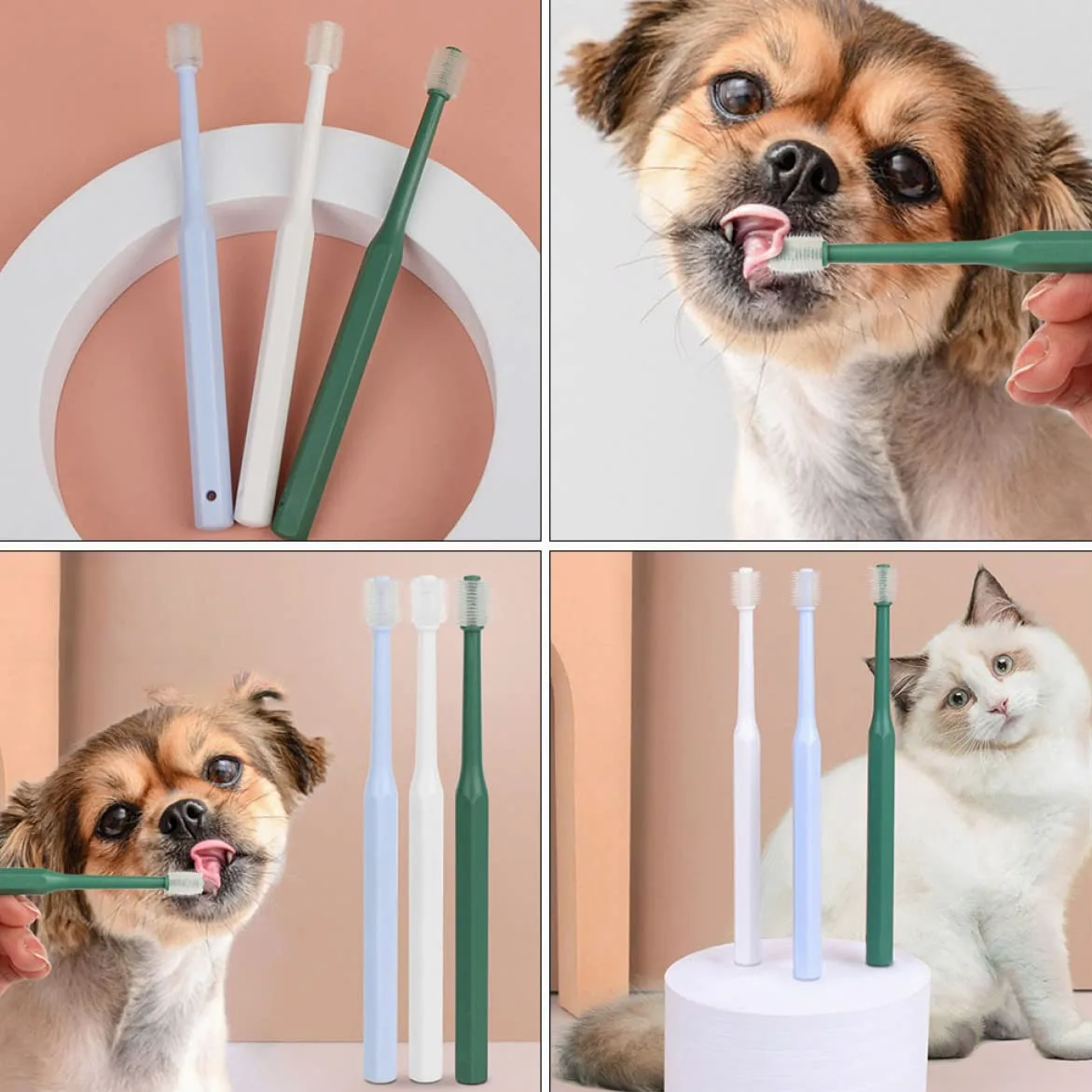 Mipcase 12pezzi Spazzolino Da Denti Per Animali Domestici Spazzolino Leggero Con Manico Ergonomico e Setole Morbide Pulizia Orale Profonda Per Cani e Gatti Gradi Di Comfort e Praticità