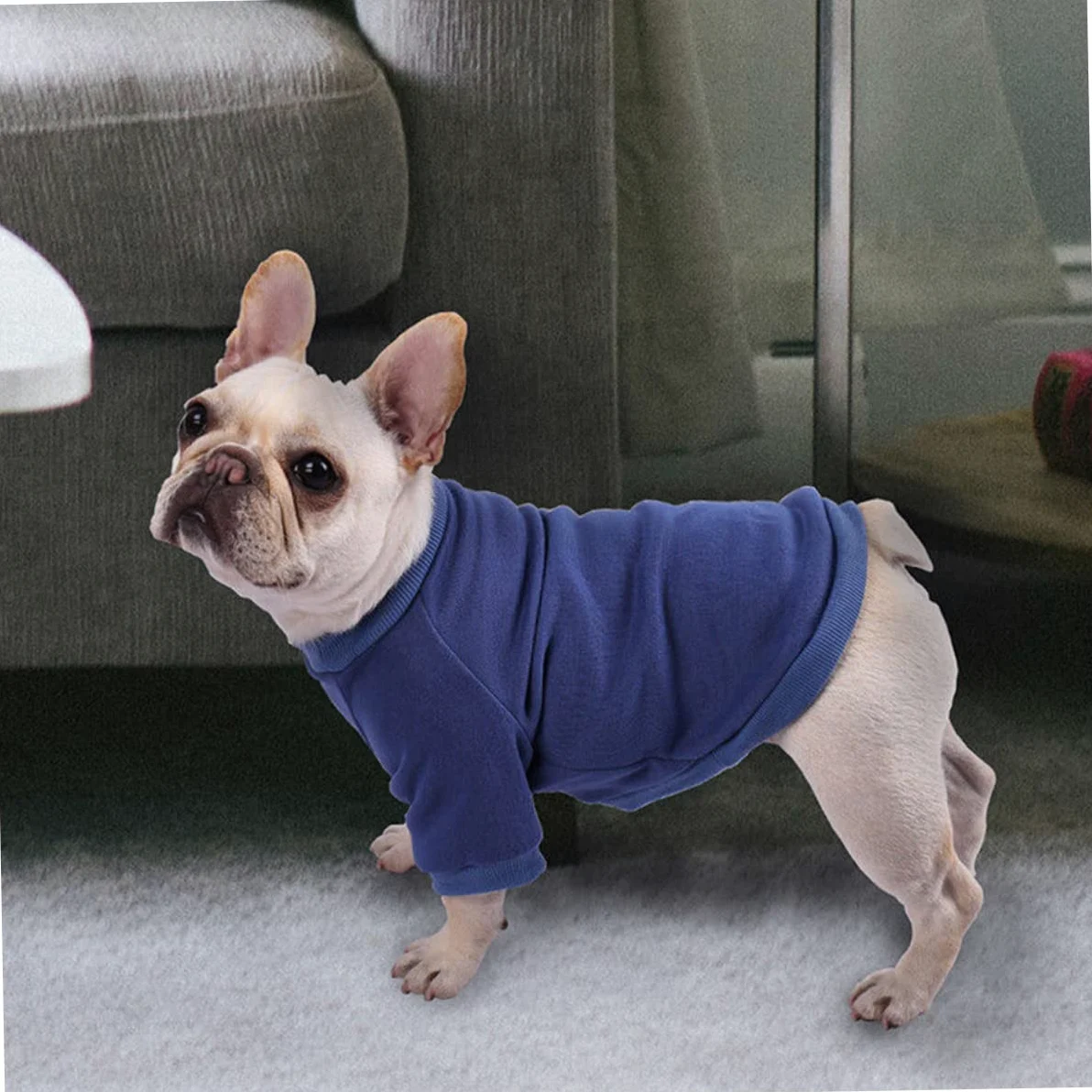 5 Pz Maglione Per Cani Felpe Con Cappuccio Per Ragazzi Cappotto Da Cucciolo Arredamento Coniglietto Caldo Maglione Per Gatti Giacche Da Ragazzo Natale Poliestere Animale Domestico