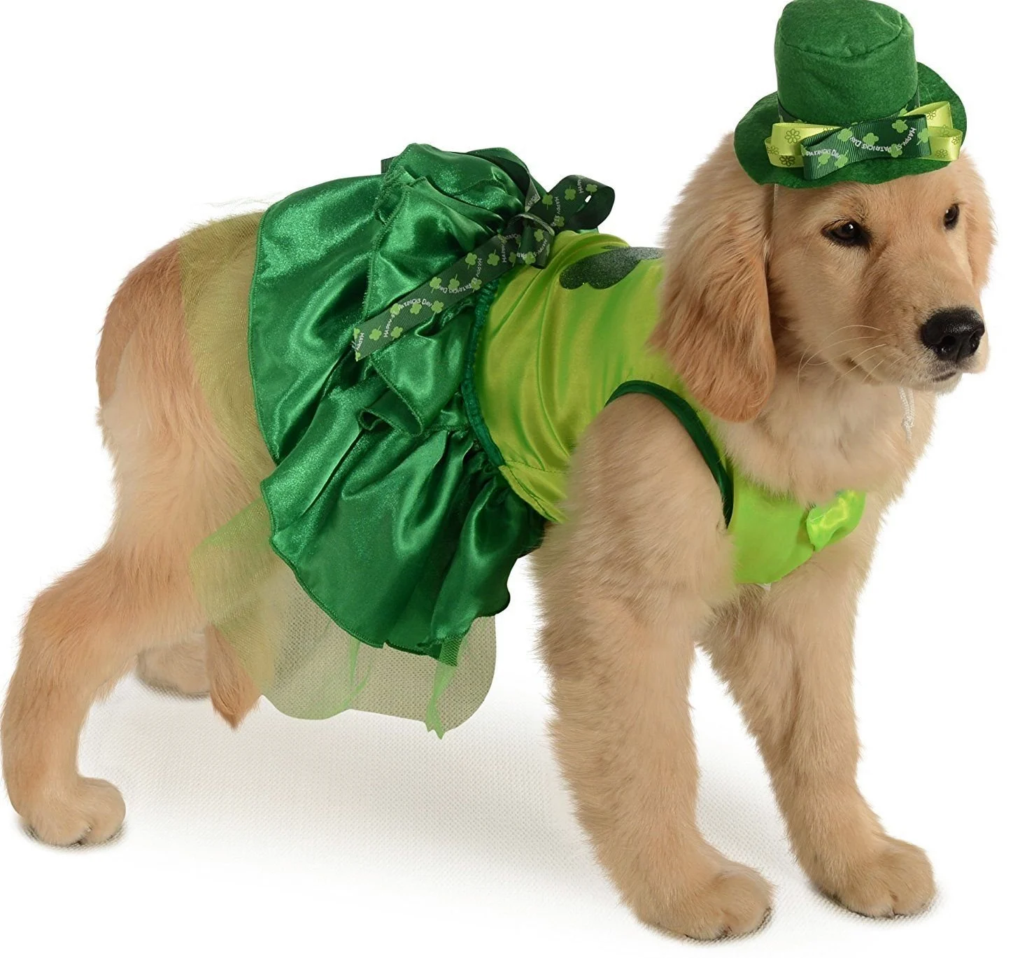 Rubie's - Costume per animali domestici, taglia piccola, irlandese