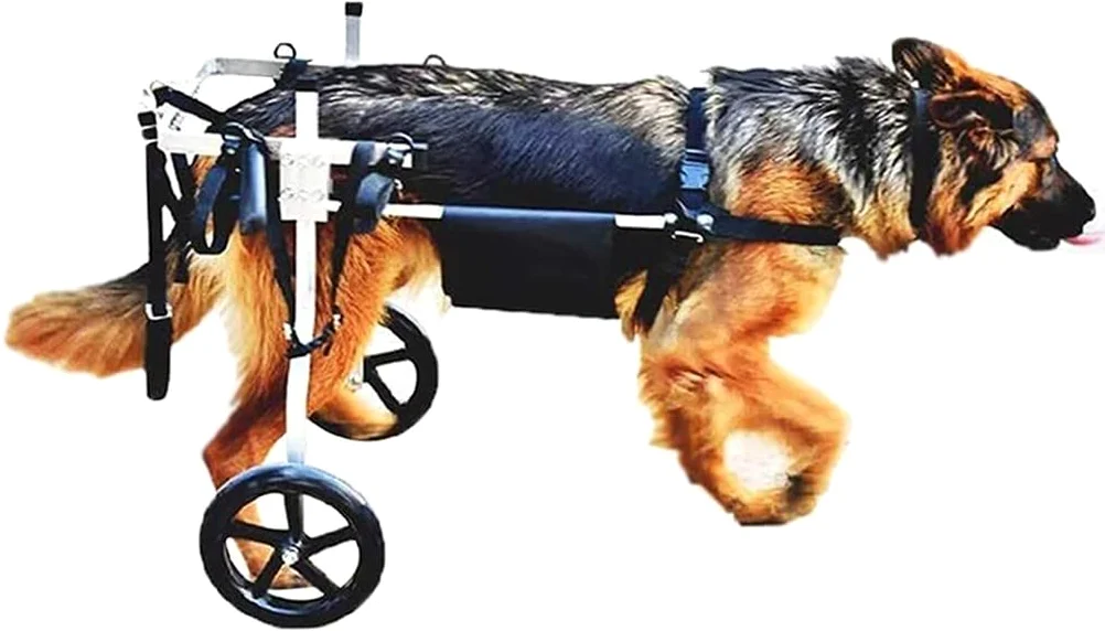 REMEK Passeggini Sedia A Rotelle Cane E Cuccioli per Zampe Posteriori Carrello per Cani Anziani Feriti Disabili per La Riabilitazione delle Zampe per 1~10 kg