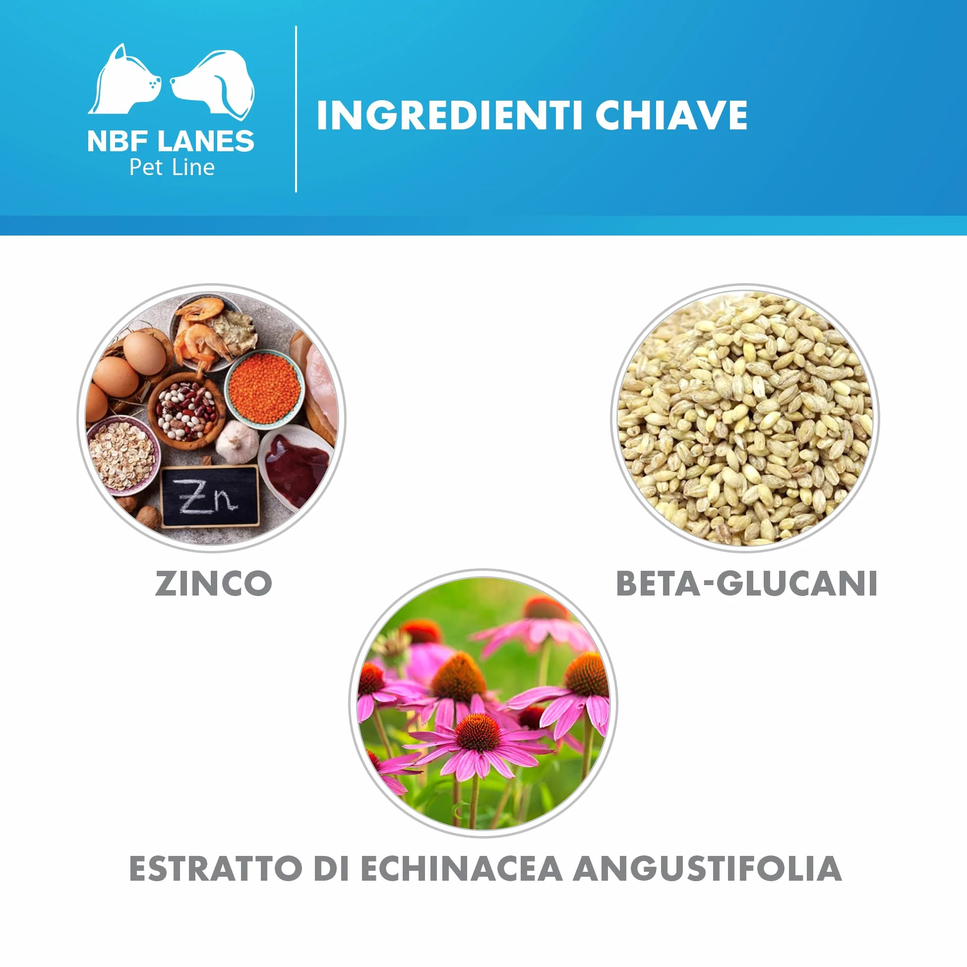 NBF Lanes | Zincogen Pet Immuno Cane, 60 Compresse Appetibili, per il Normale Funzionamento del Sistema Immunitario del Cane