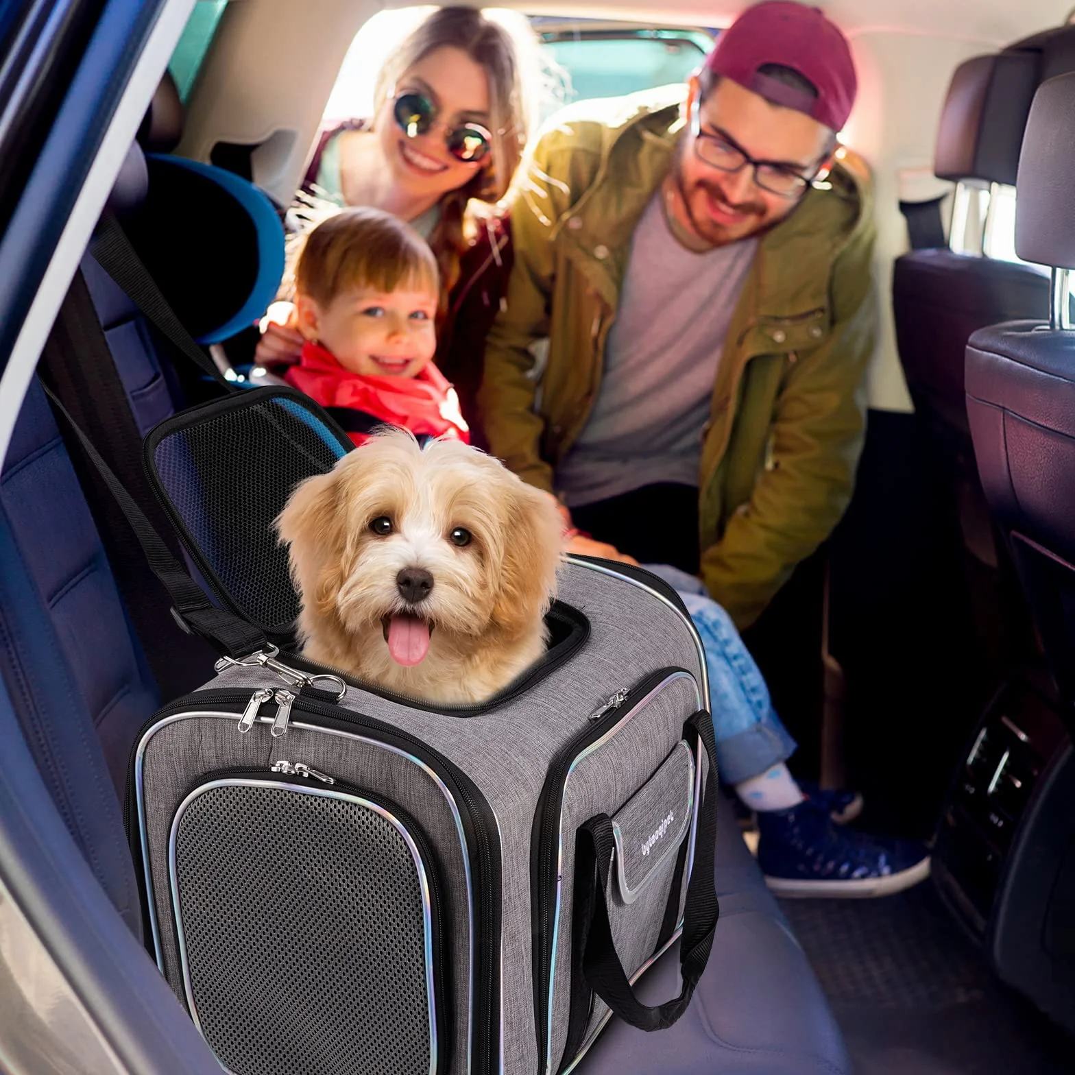Borsa da Trasporto per Gatti - Trasportino Rigido Omologato IATA per Gatti a 4 Lati - Borsa da Viaggio per Gatti Espandibile per Viaggi in Aereo