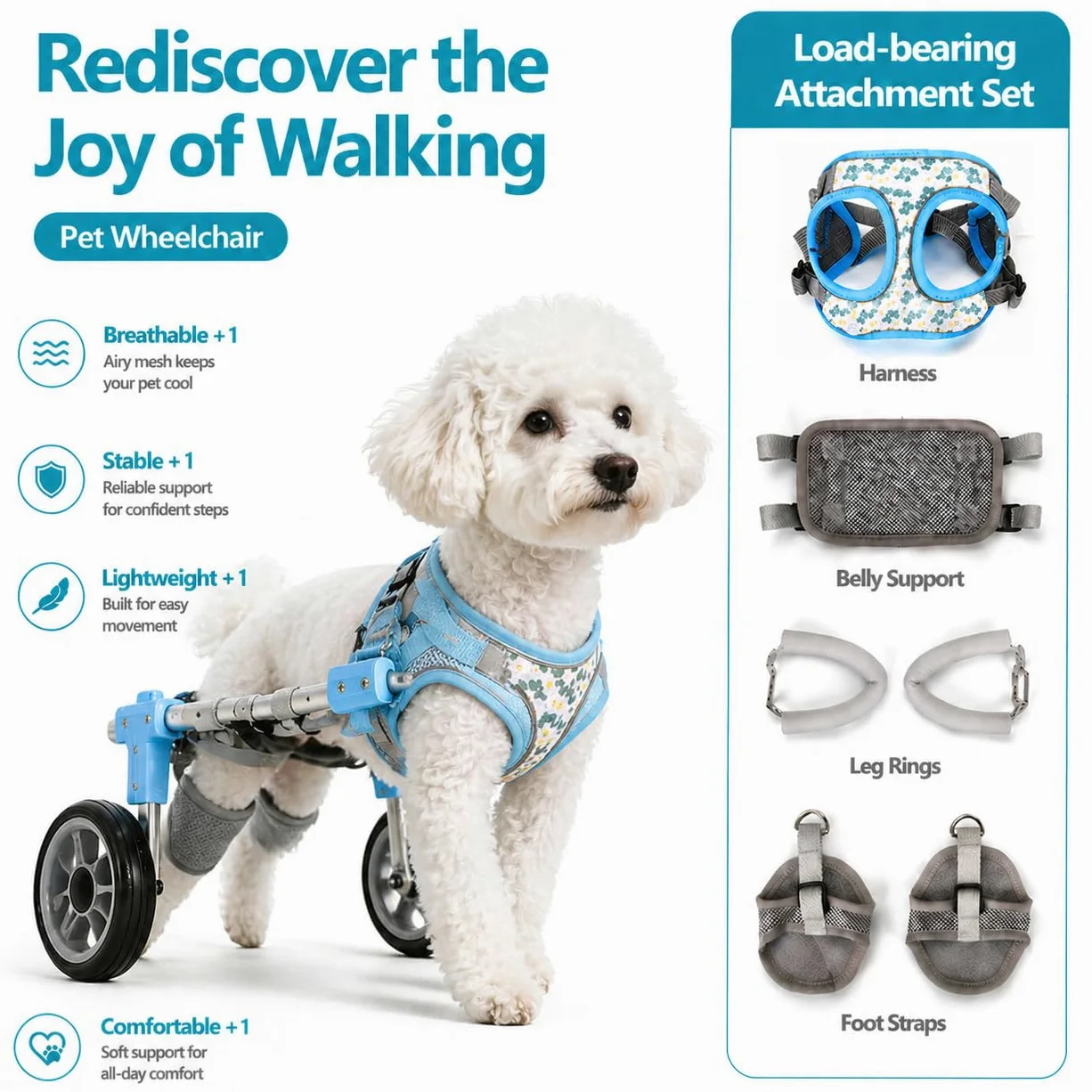 Carrellino per Cani, Supporto Zampe Posteriori, Ausilio Mobilità Regolabile Black-M | Con Supporto per Zampe Posteriori E Addome, Ideale per Cani E Gatti Con Lesioni O Problemi Di Mobilità
