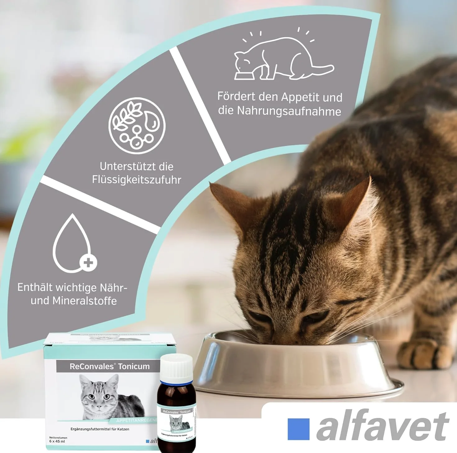Alfavet ReConvales Tonicum Gatto (6 x 45 ml) – Mangime complementare liquido ad alta energia per gatti – con nutrienti selezionati, elevata appetibilità