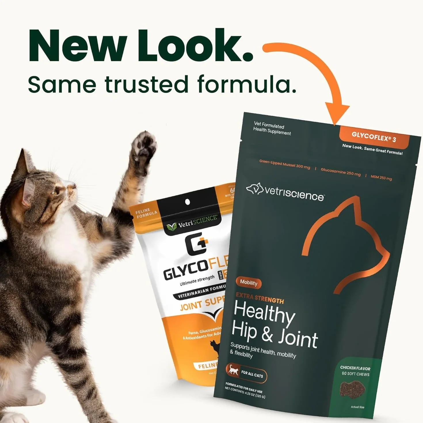 Vetri-Science Laboratories Glyco Flex 3 Anca e Giunti supplemento per Gatti, Bite Sized Chews