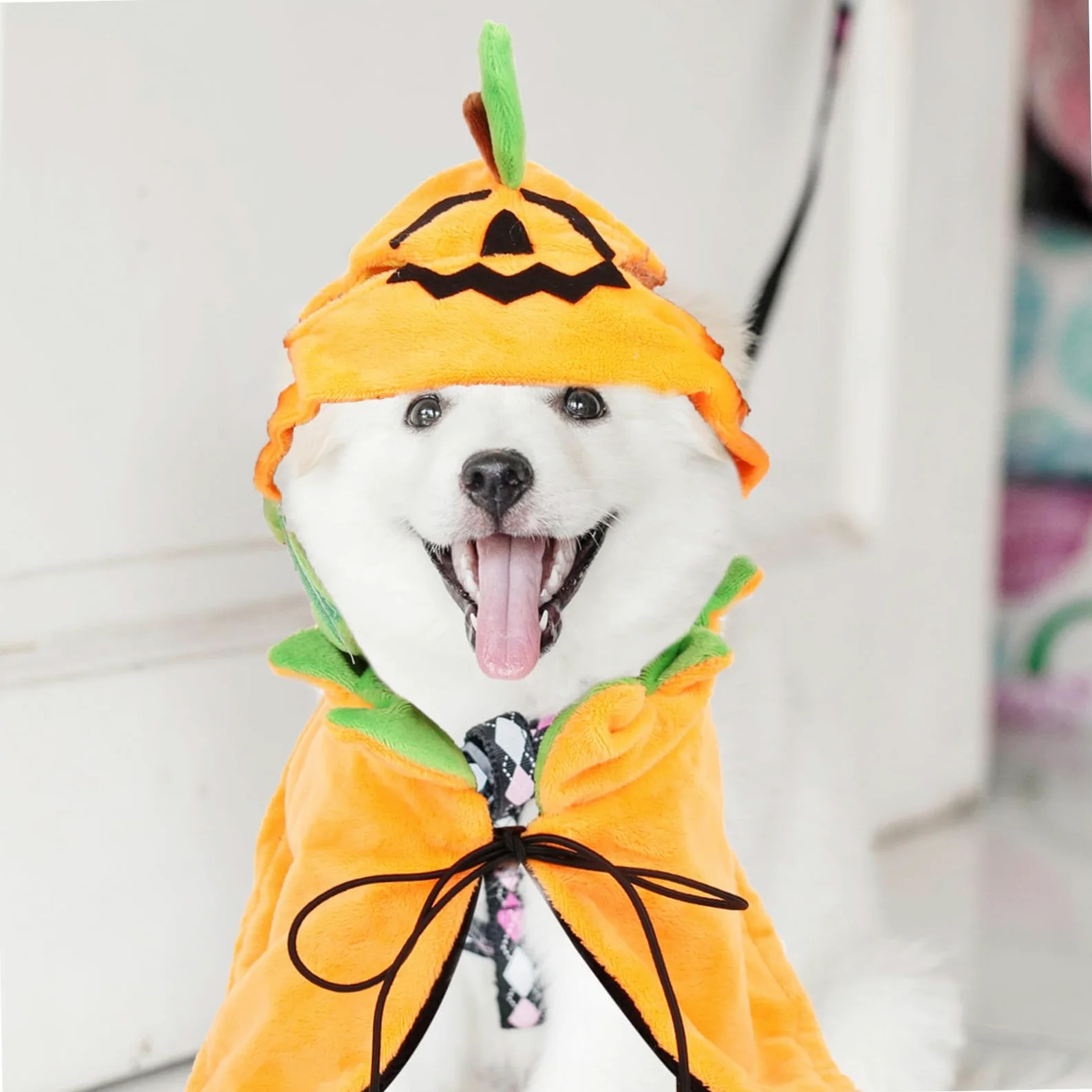 POPETPOP 3 Set Mantello Per Animali Domestici Vestiti Di Zucca Per Cani Costume Da Cane Mantello Per Cappello Da Compagnia Animale Domestico a Doppia Faccia Cappello Per Gatto Peluche