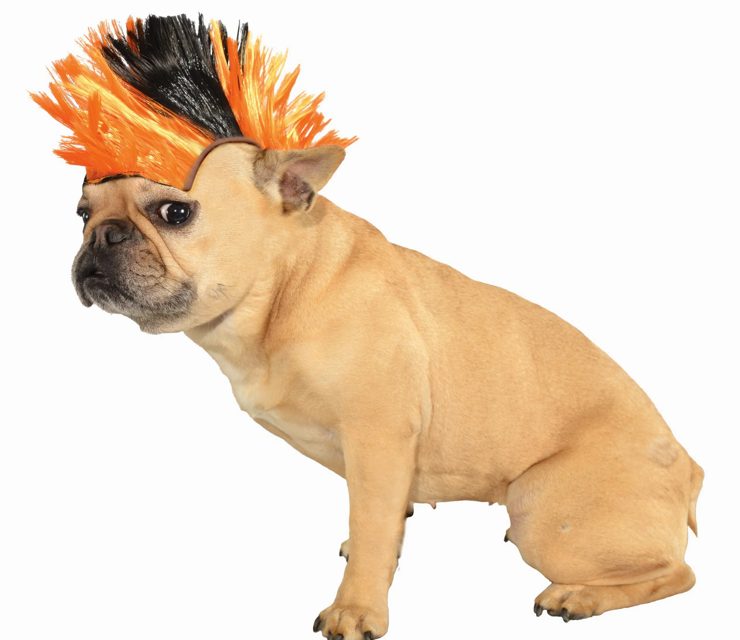 Rubie' s Costume Halloween Classics Collection Pet costume, medie e grandi, nero e arancione Mohawk parrucca