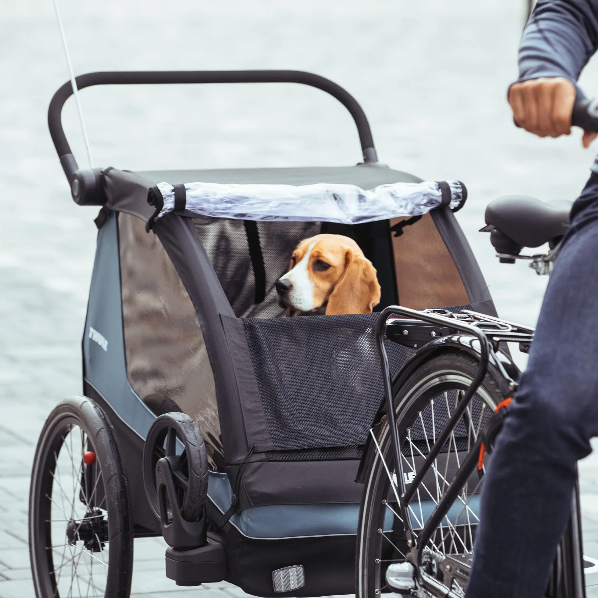 Thule Courier Rimorchio Per Bici 2 Posti