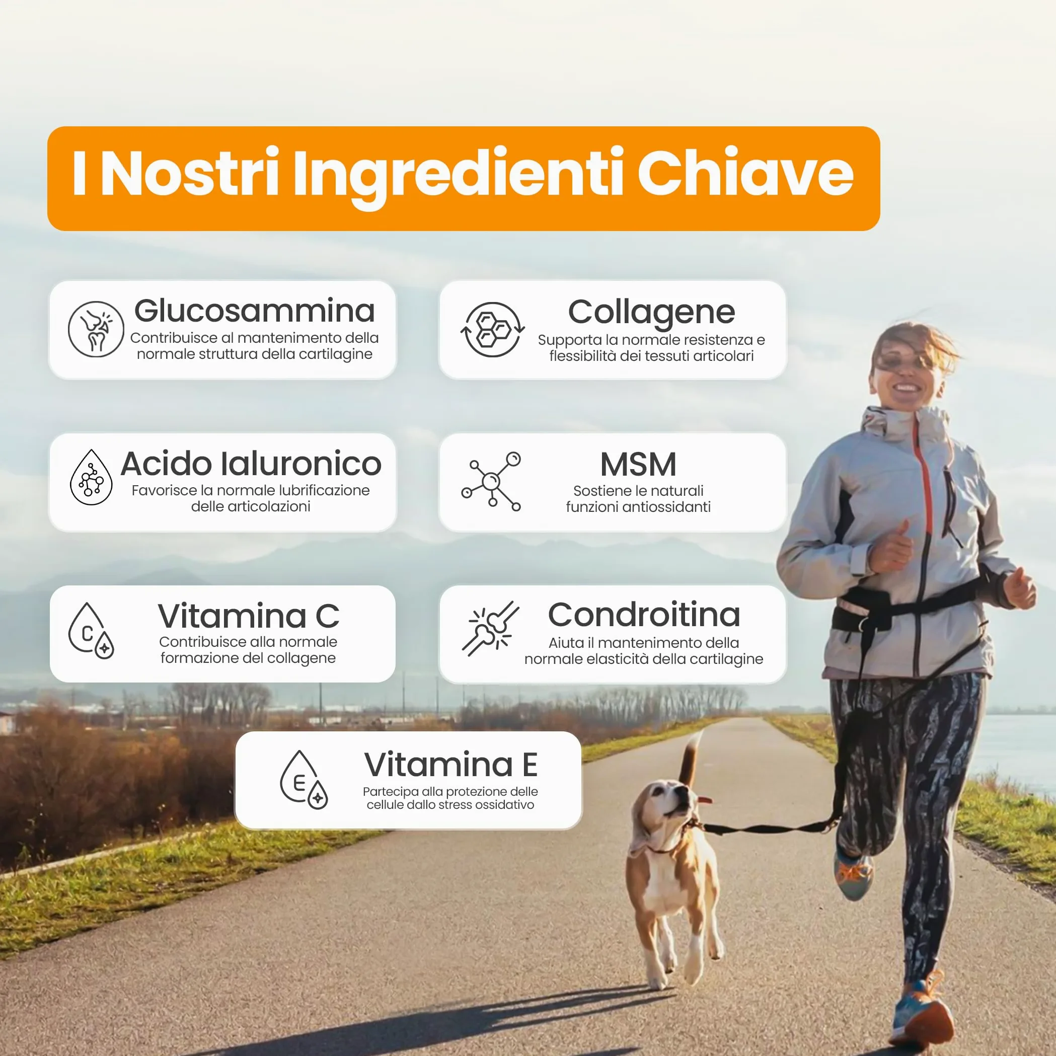 Integratore Articolazioni per Cani Ossa Più – Collagene, Glucosammina, MSM, Condroitina & Acido Ialuronico – Marchio Italiano