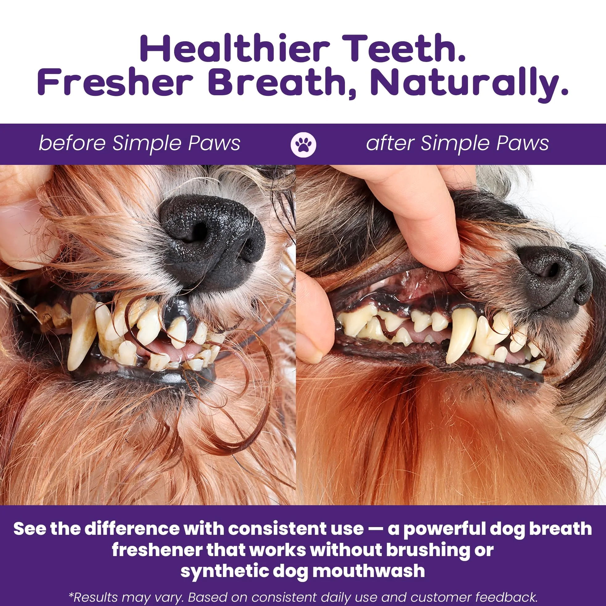 Polvere dentale per cani per la pulizia dei denti - Polvere dentale per | Prevenire l'alito cattivo del cane con probiotici per alito fresco e salute orale - Al gusto di pollo