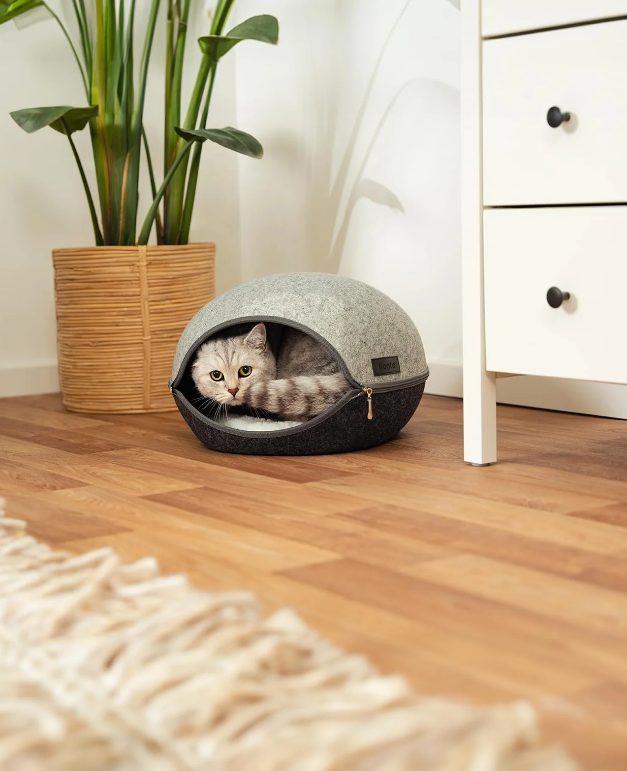 lionto Cuccia per gatti in feltro resistente con cerniera, tana accogliente 46x38x24 cm, letto moderno e confortevole con cuscino morbido e lavabile, grigio