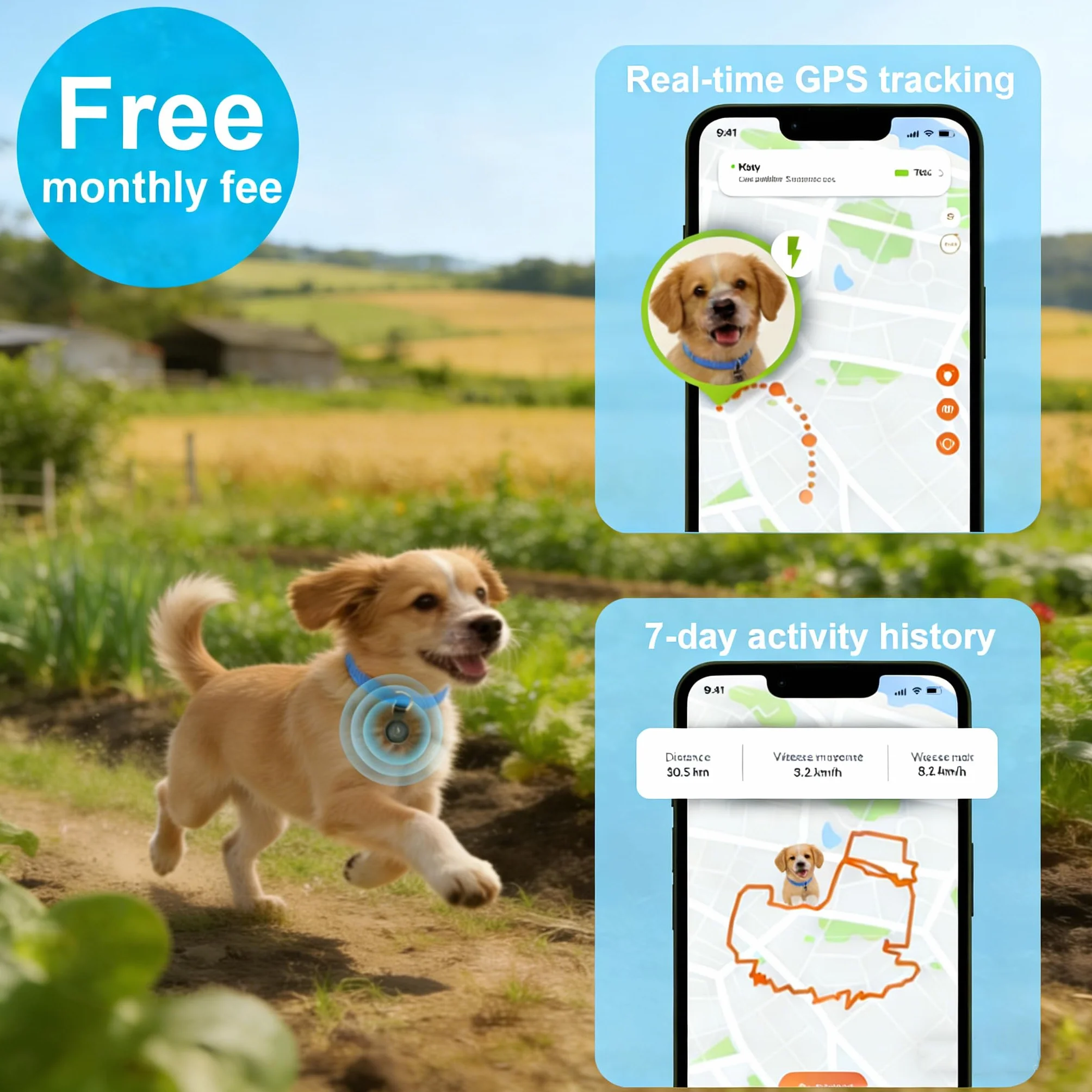 Collare GPS Gatto, Cane Plotter senza Costi Mensili, Compatibile con iOS e Android, Tracciatore in Tempo Reale, Collare Plotter Gatto, Lunga Durata con Impermeabile Tracciante Animale, Nero